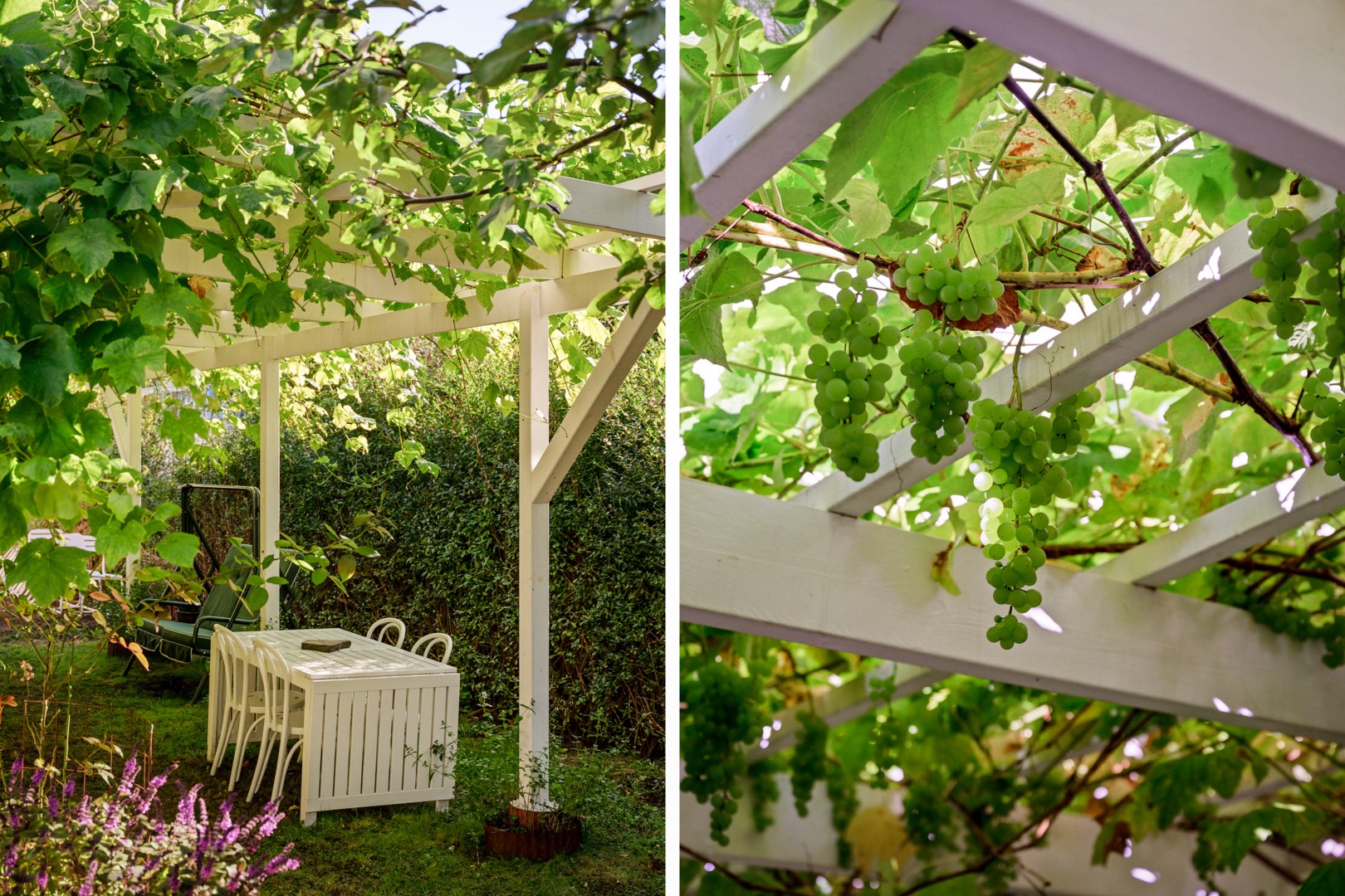 Njut av säsongens skörd av äpplen och vindruvor.