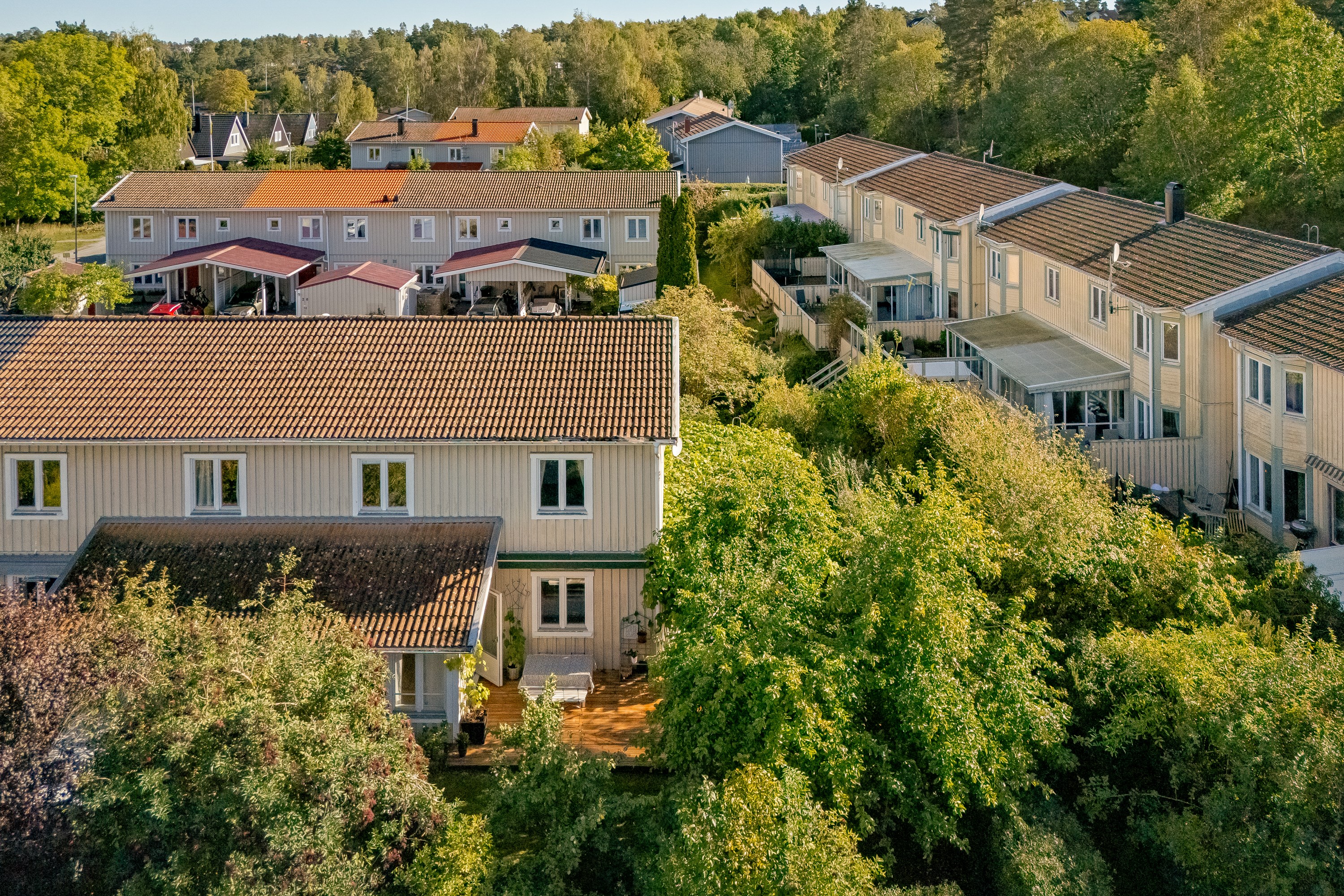 Trädgården i vinkel från allmänningen i väster.