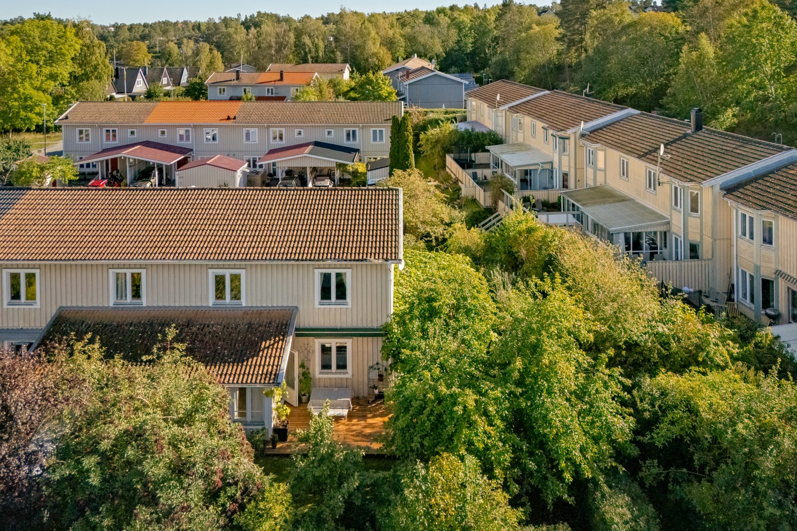 Trädgården i vinkel från allmänningen i väster.
