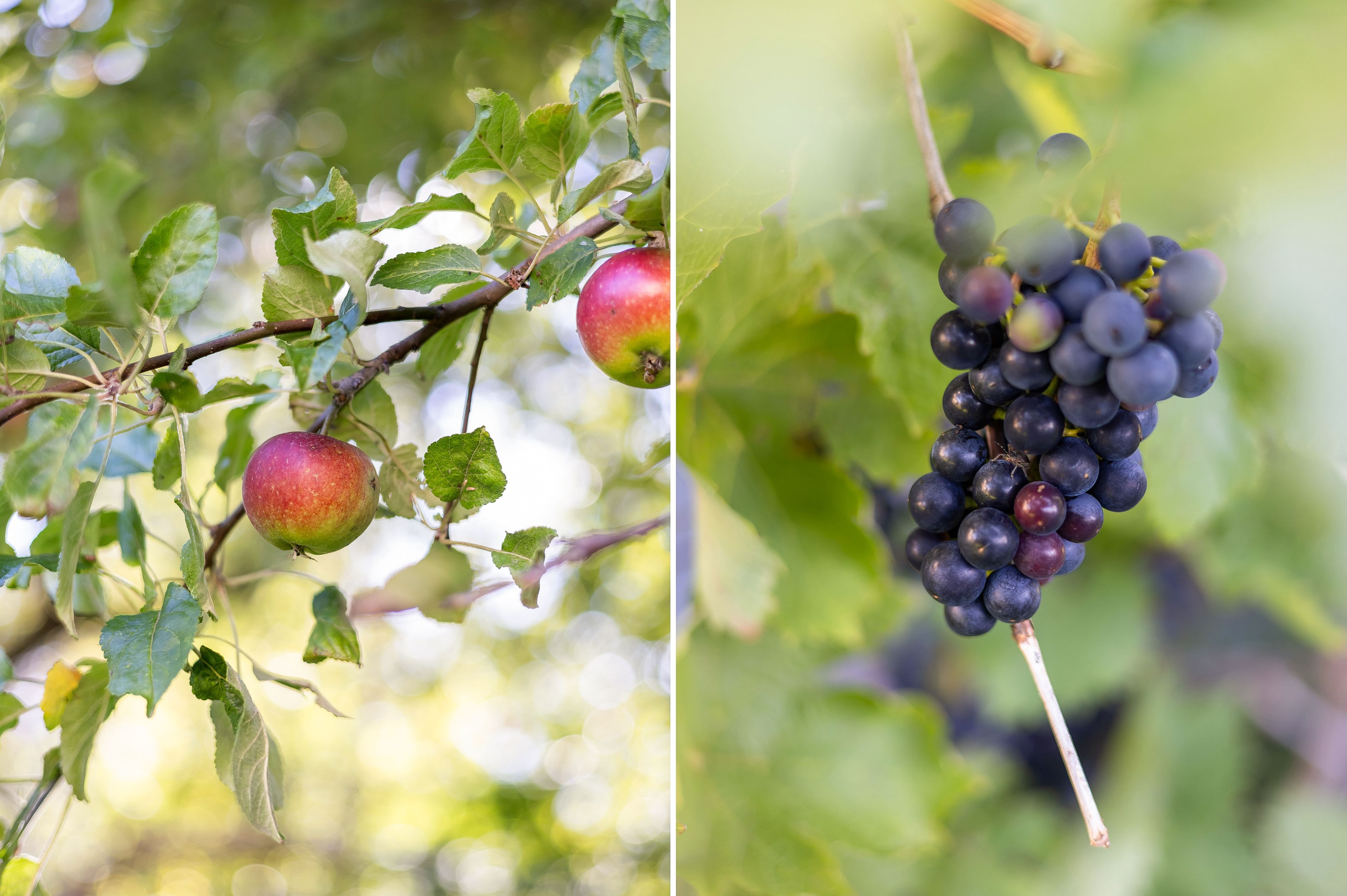 Bostadsbild från Hagelgränd 3, Såld i Norby, Uppsala