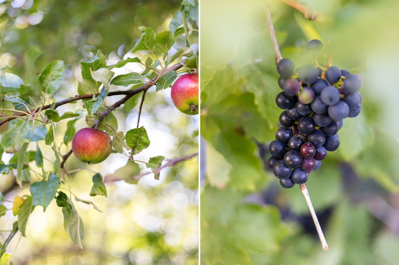 Bostadsbild från Hagelgränd 3, Kommande i Norby, Uppsala