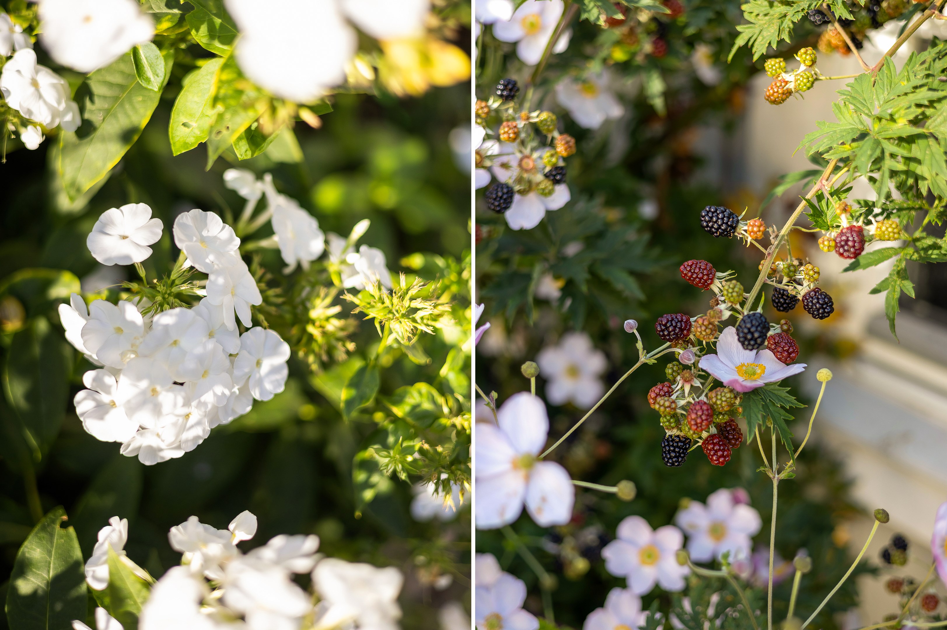 Bostadsbild från Bonadsvägen 66, Kommande i Nåntuna, Uppsala