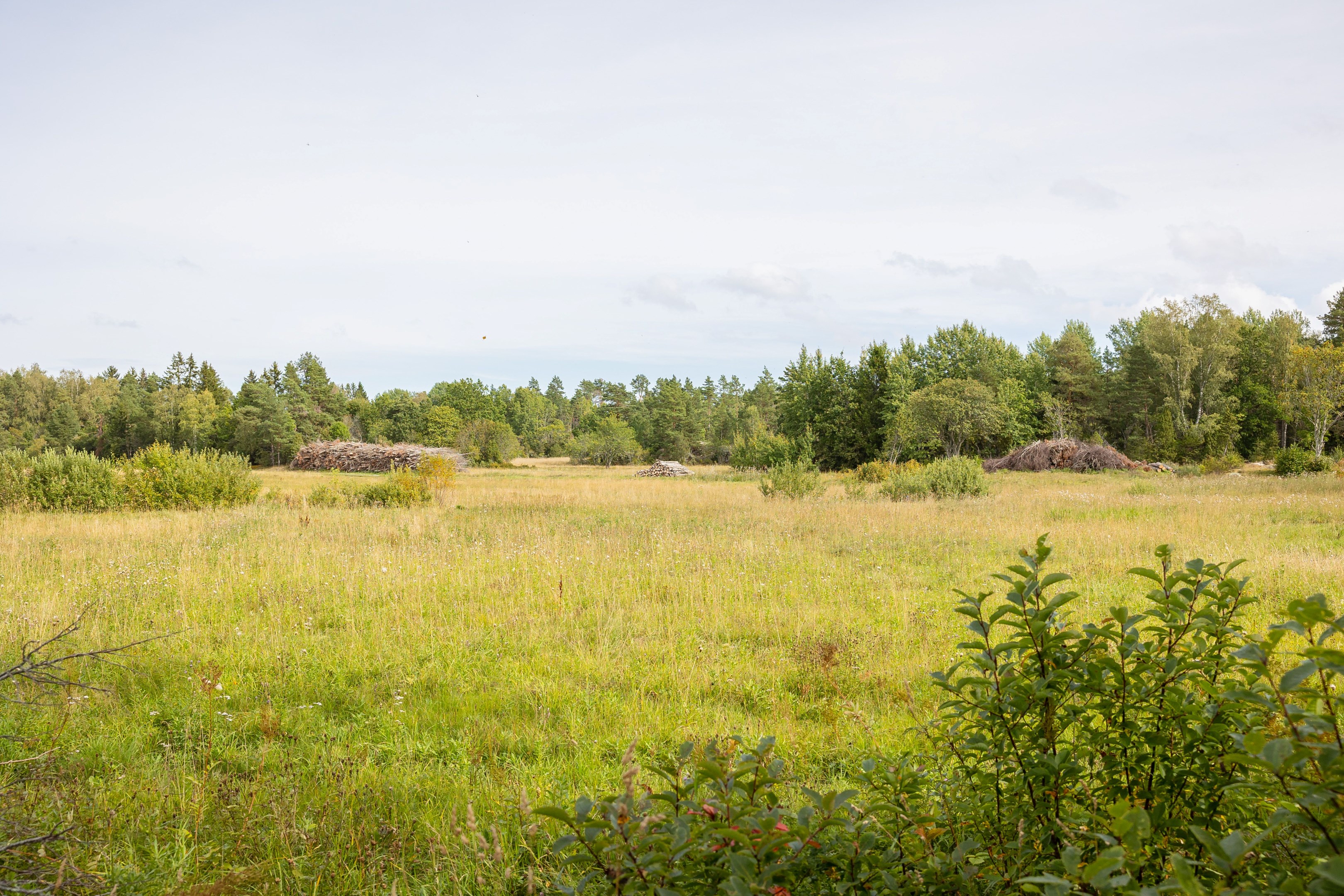 Bostadsbild från Tuskö 131, Till salu i Tuskö, Östhammar
