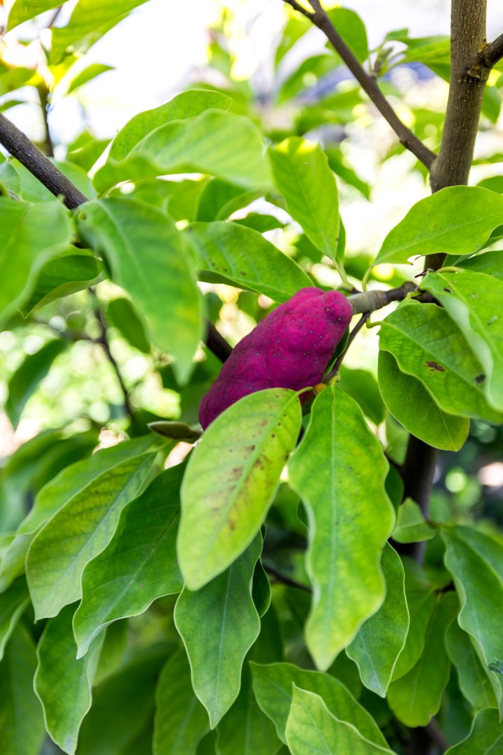 Bostadsbild från Enbärsgränd 11, Till salu i Björklinge, Uppsala
