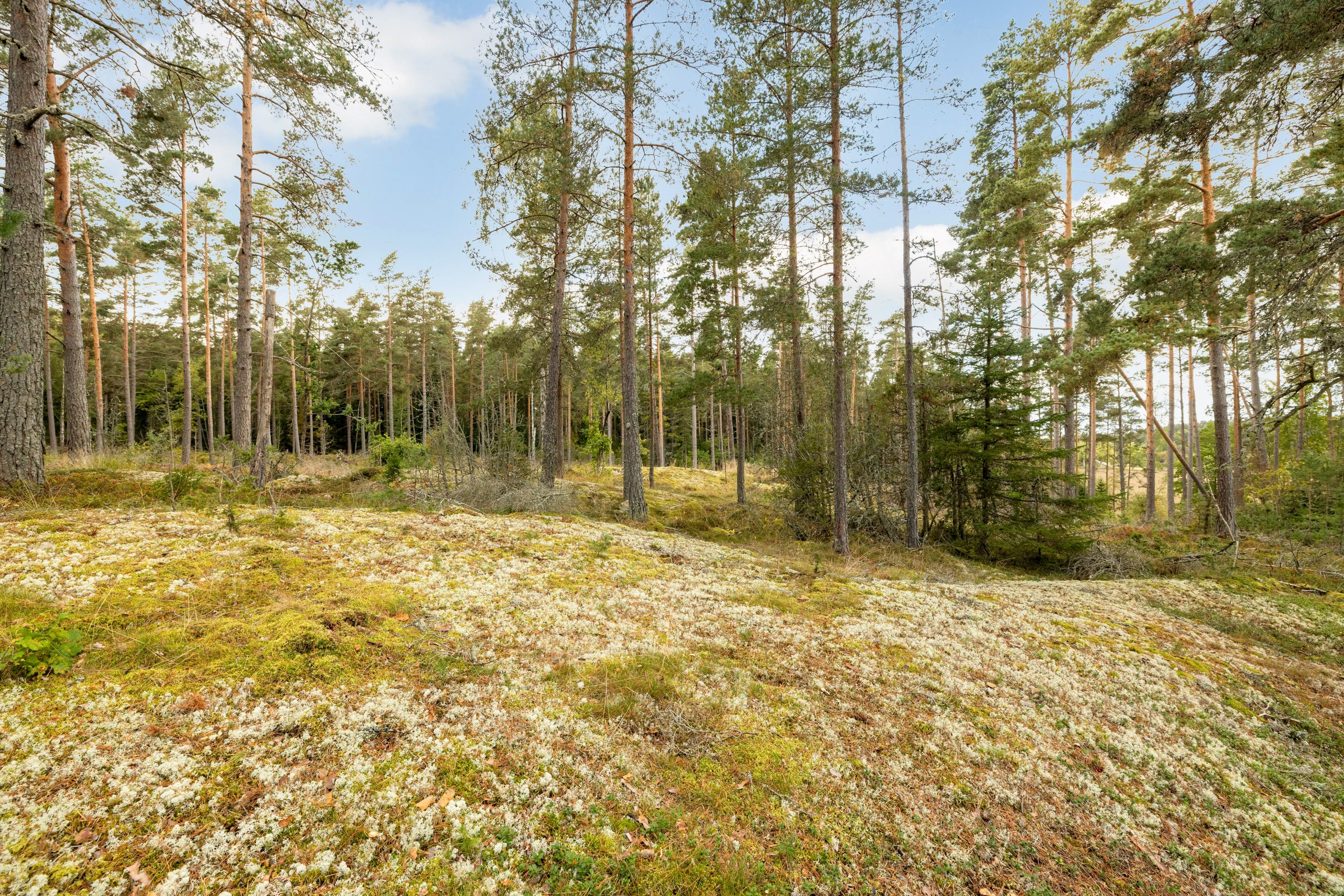 Bostadsbild från Hjälsta Grantorp 5, Såld i Örsundsbro, Enköping