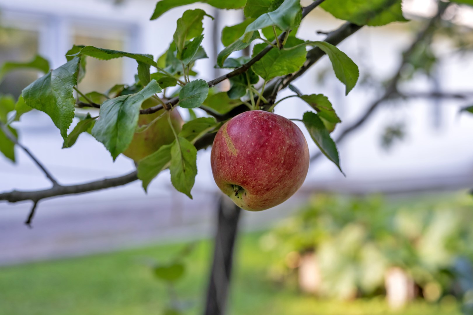 Bostadsbild från Lodjursvägen 9, Såld i Vreta, Uppsala