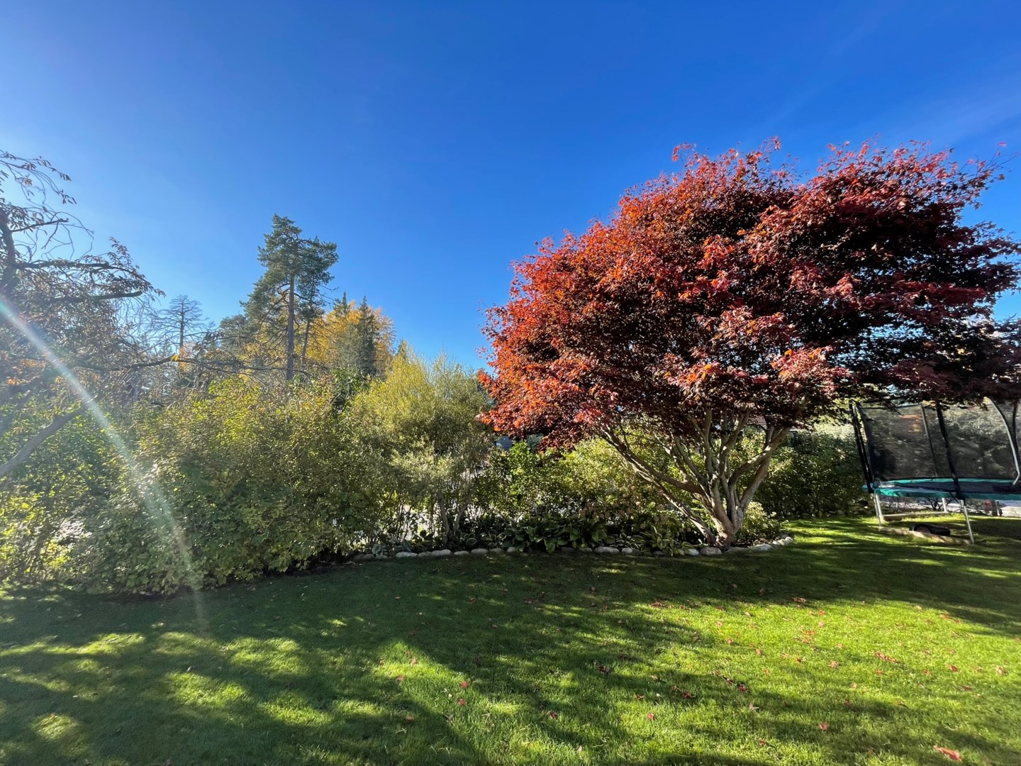 Säljarens sommarbild