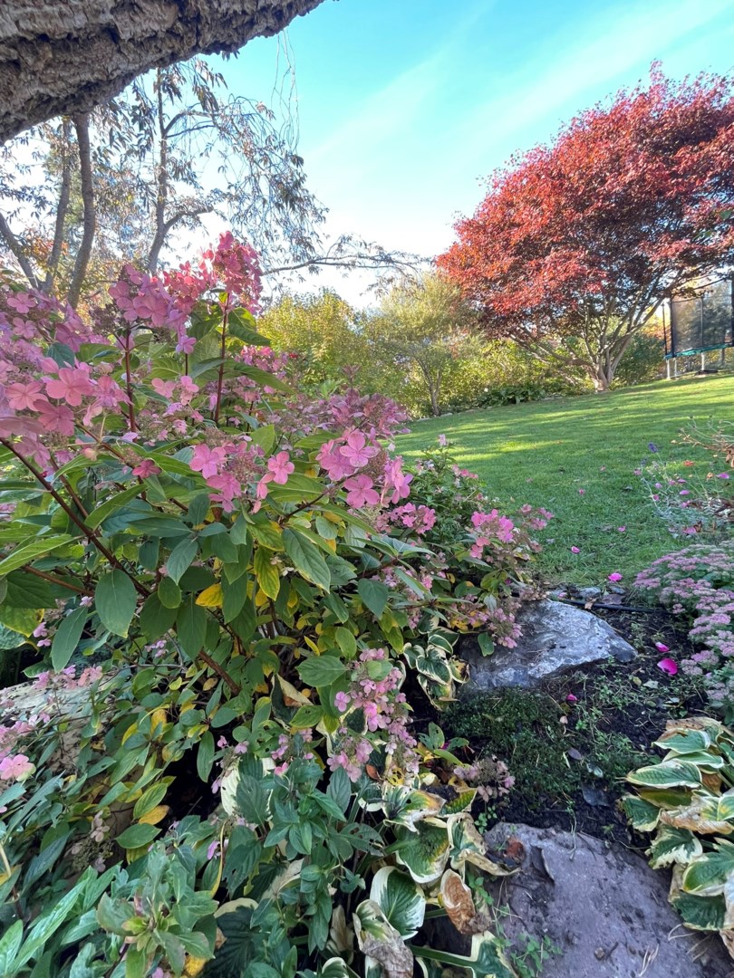 Säljarens sommarbild