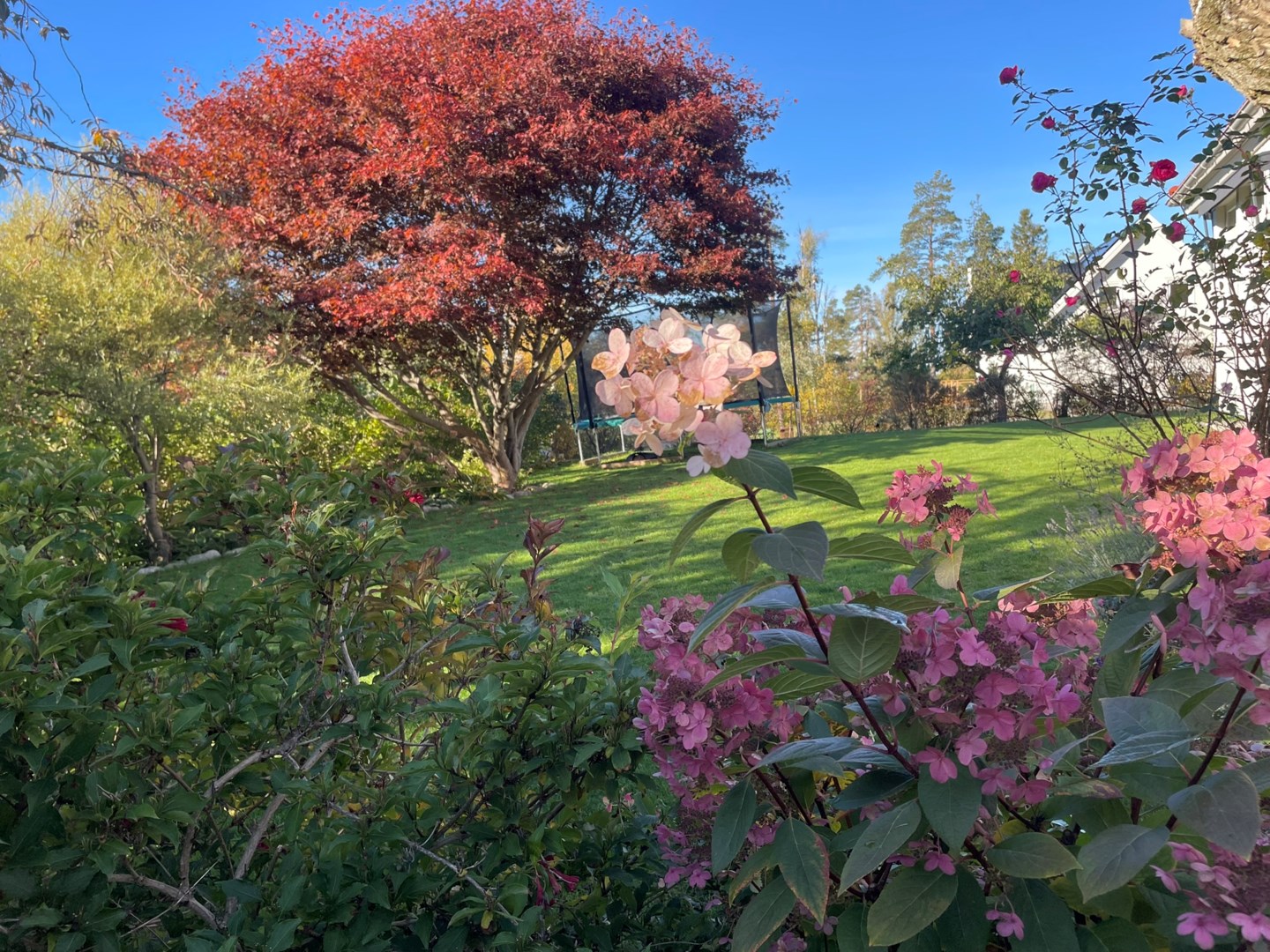 Säljarens sommarbild