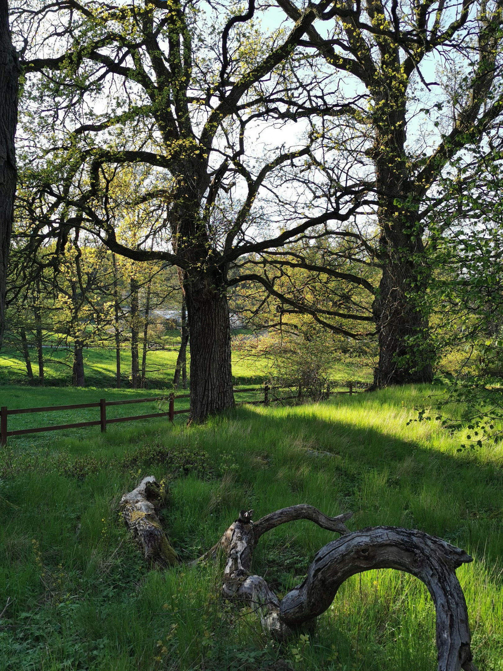 Bostadsbild från Gamla Landsvägen 101, Till salu i Ektorp, Nacka