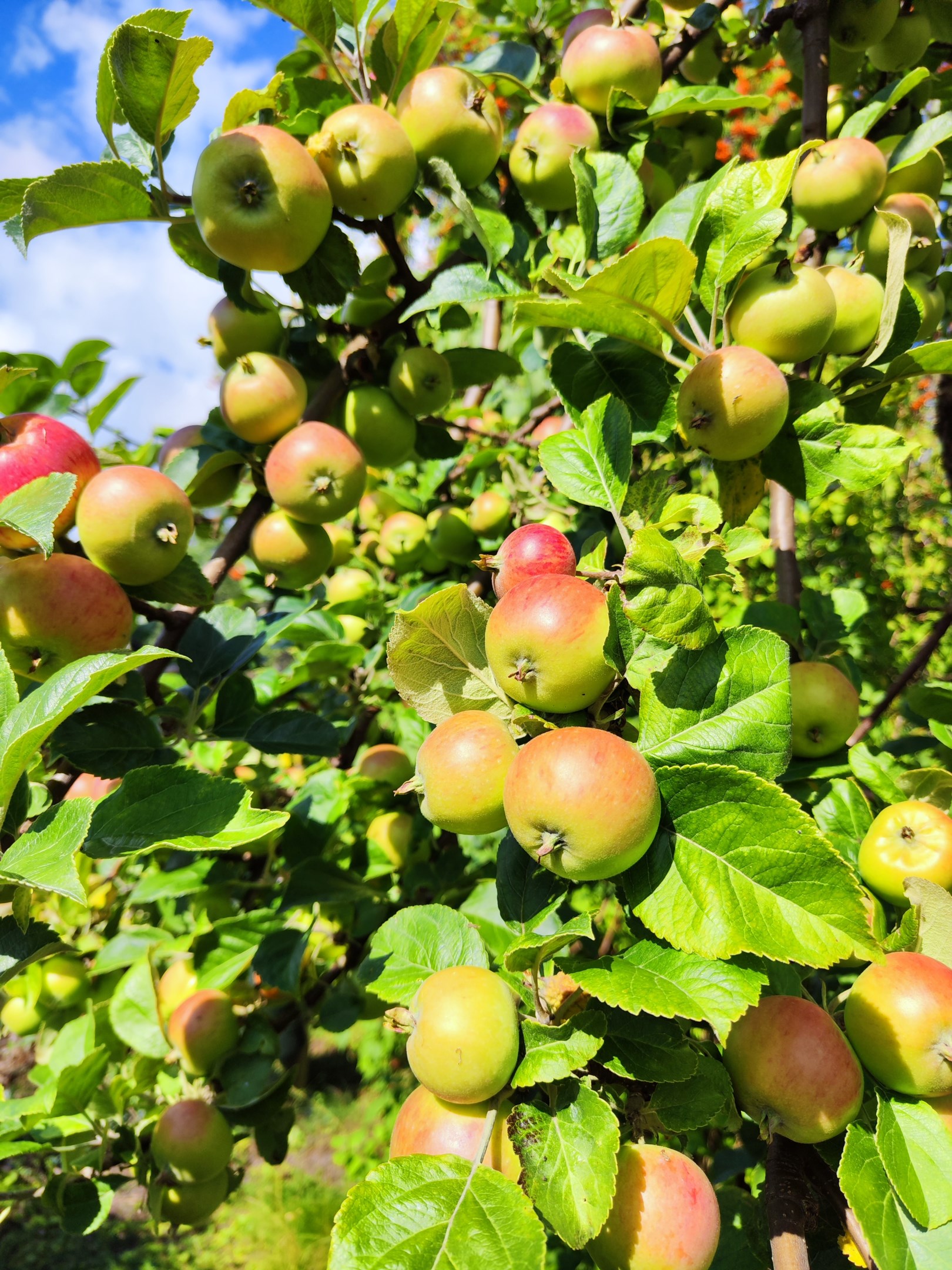 Bostadsbild från Sten Stures väg 2, Till salu i Duvnäs Utskog, Nacka