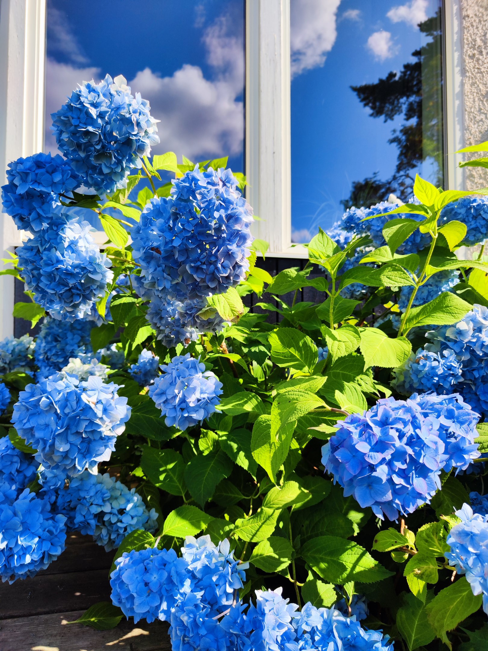 Bostadsbild från Sten Stures väg 2, Till salu i Duvnäs Utskog, Nacka