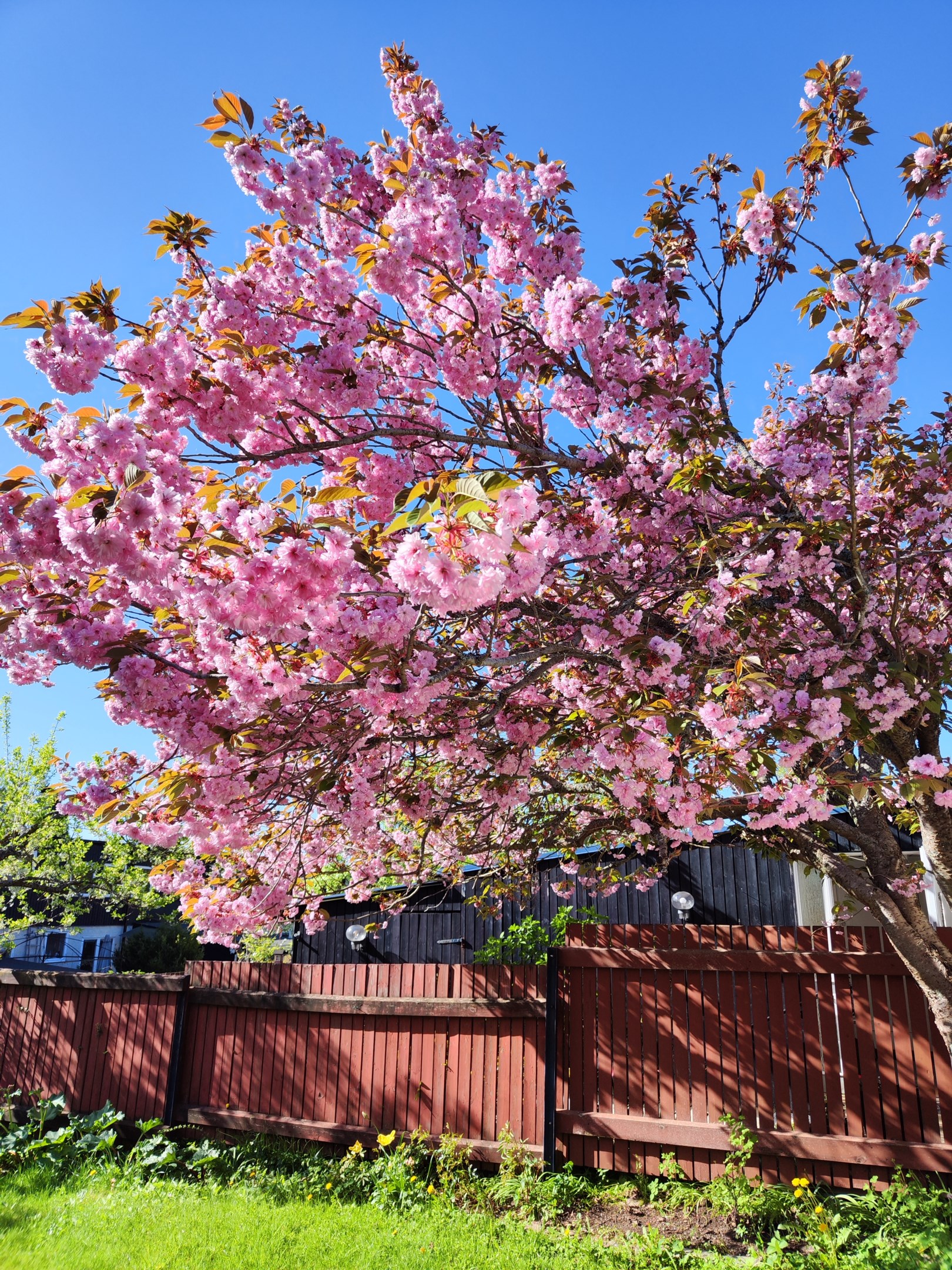 Bostadsbild från Sten Stures väg 2, Till salu i Duvnäs Utskog, Nacka