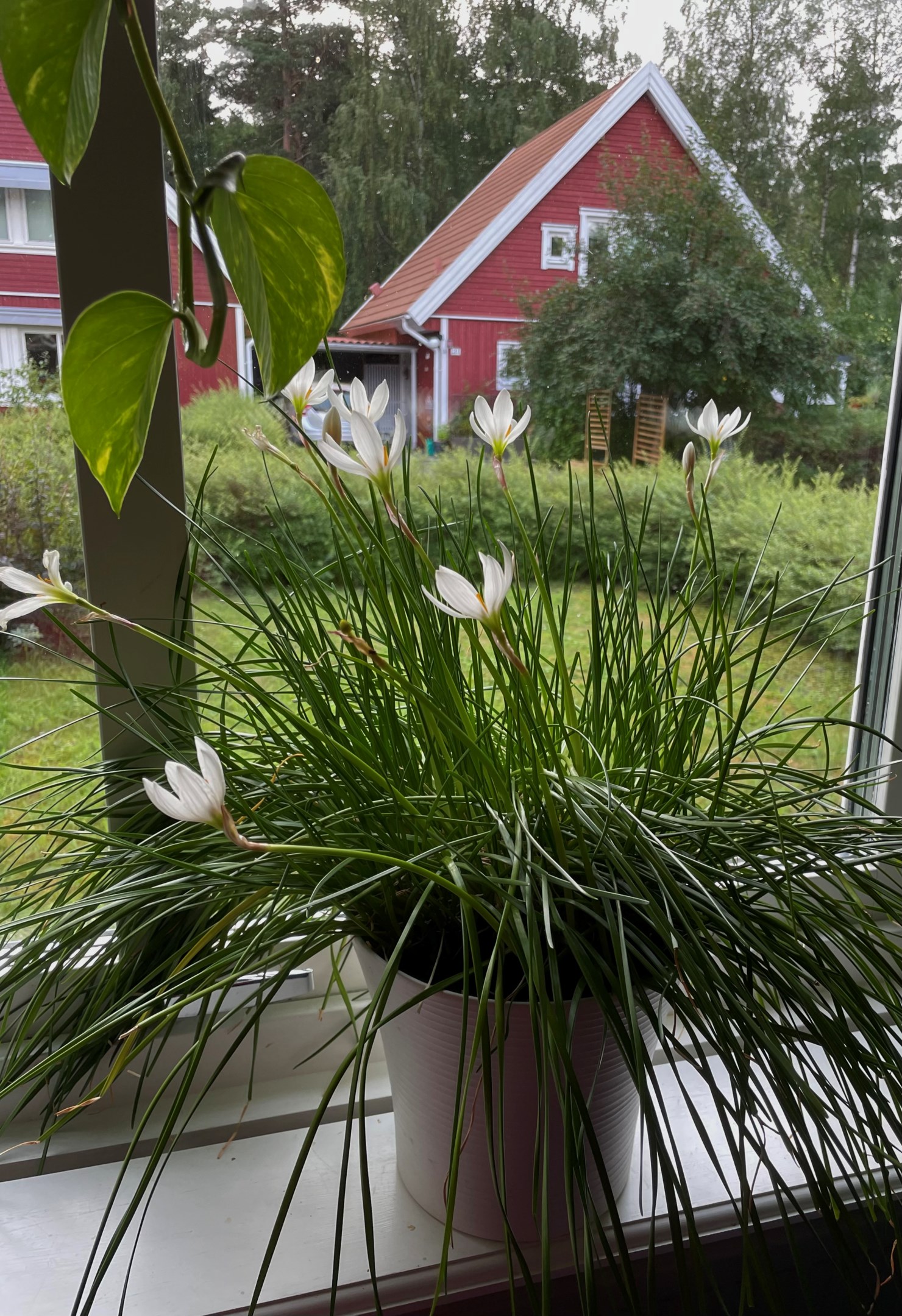 Bostadsbild från Stenhagsvägen 17, Kommande i Stenhagen, Uppsala