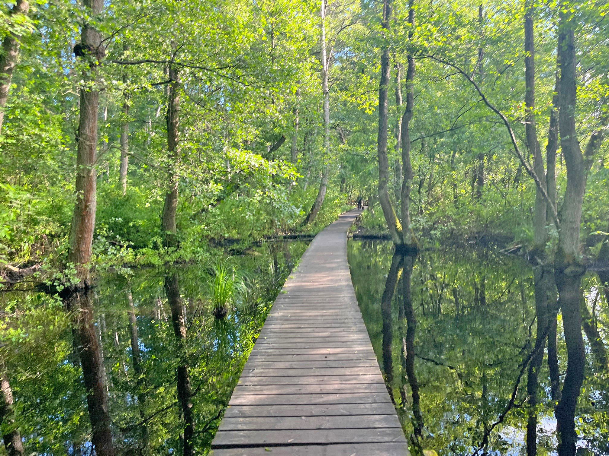 Bostadsbild från Hedebyvägen 30, Kommande i Bromma - Norra Ängby, Stockholm