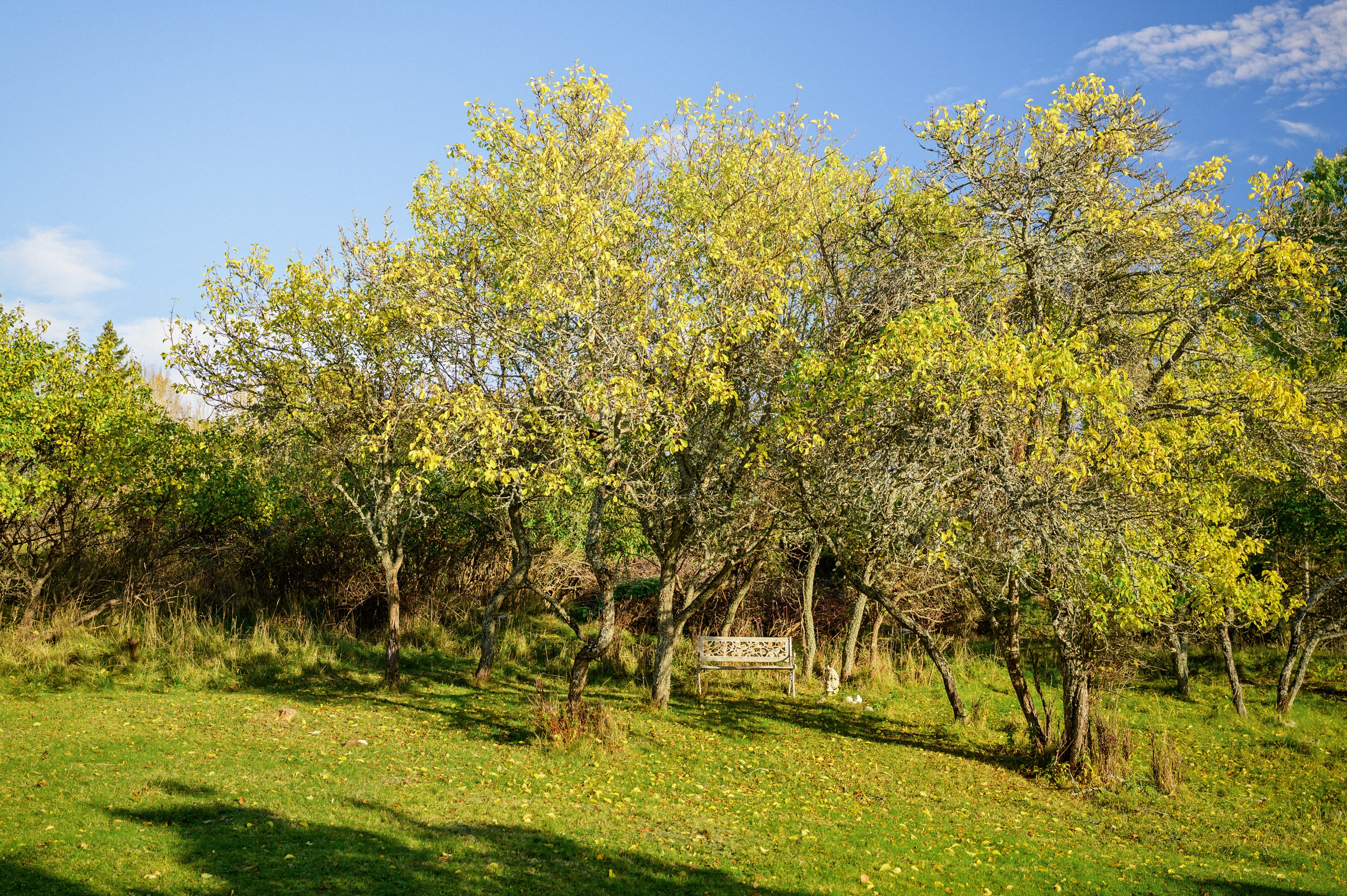 Bostadsbild från Maria Höglunds väg 27, Kommande i Ängsvik, Värmdö
