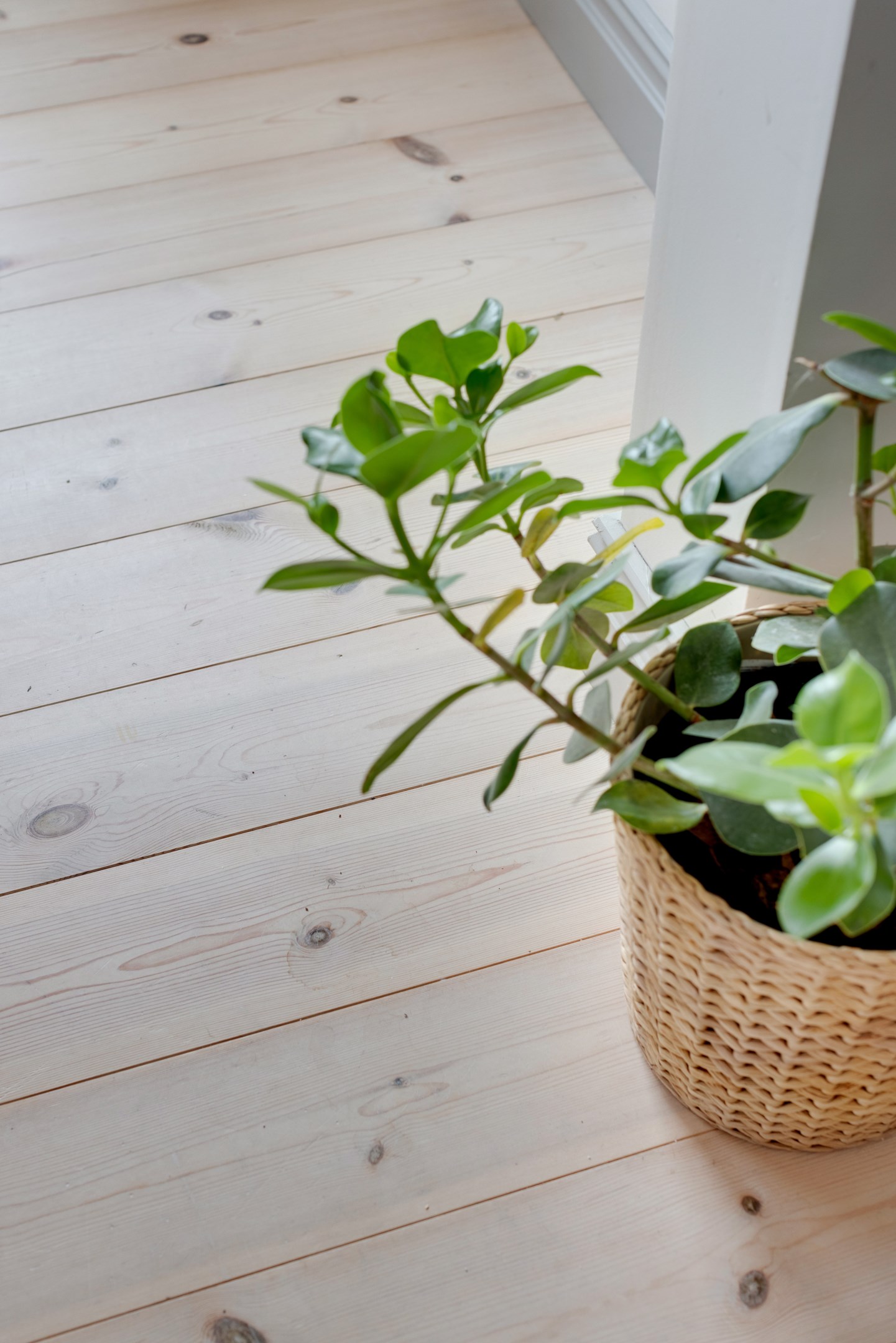 Bostadsbild från Gryta Rosenborg 12, Kommande i Örsundsbro, Enköping