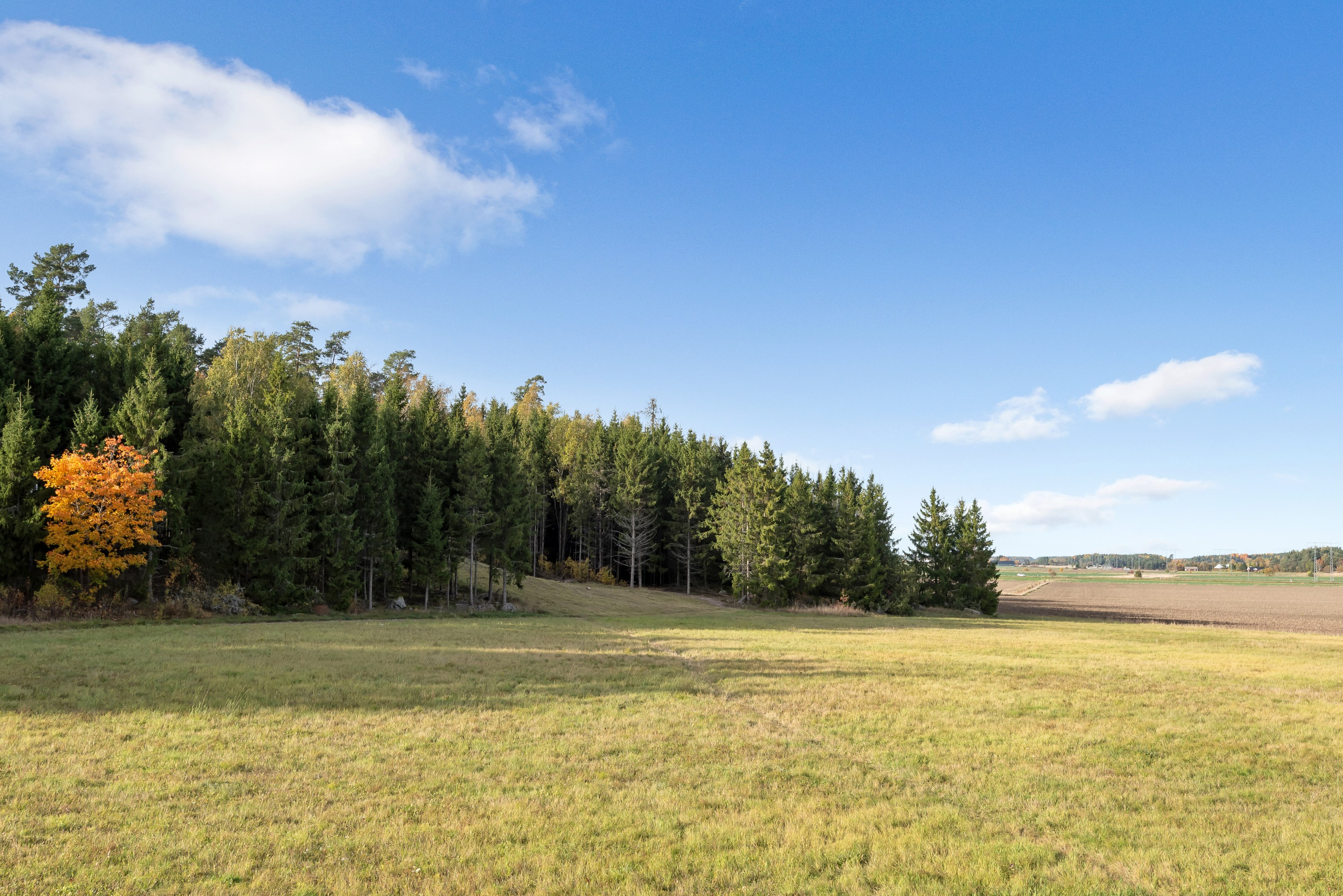 Bostadsbild från Elgbolstavägen 22, Till salu i Danmark, Uppsala