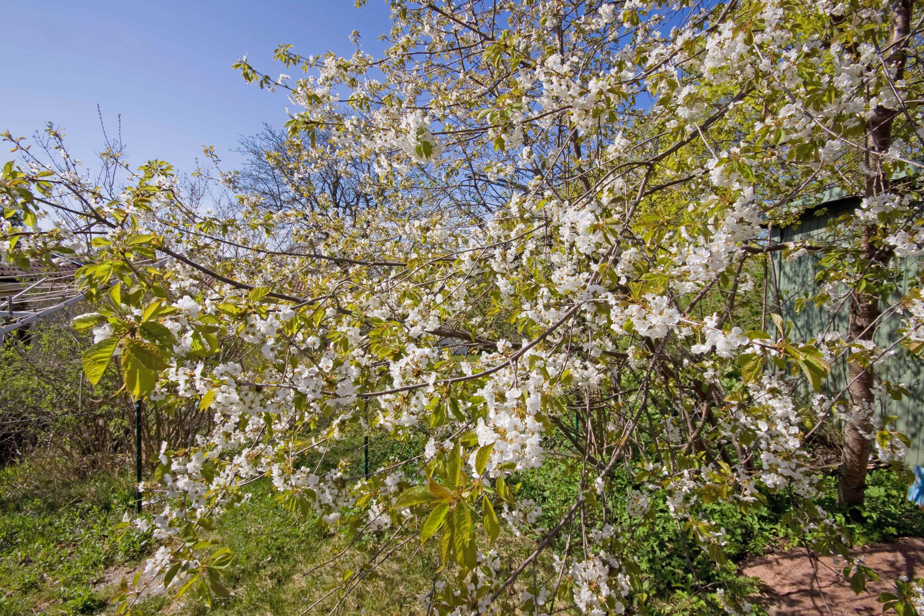 Bostadsbild från Doktor Abrahams väg 98, Till salu i Bromma - Eneby, Stockholm