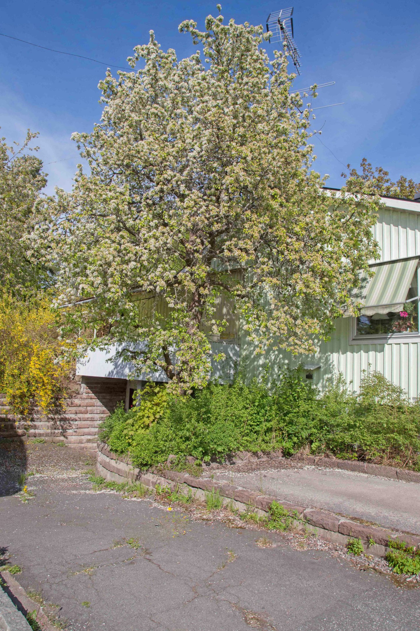 Bostadsbild från Doktor Abrahams väg 98, Till salu i Bromma - Eneby, Stockholm