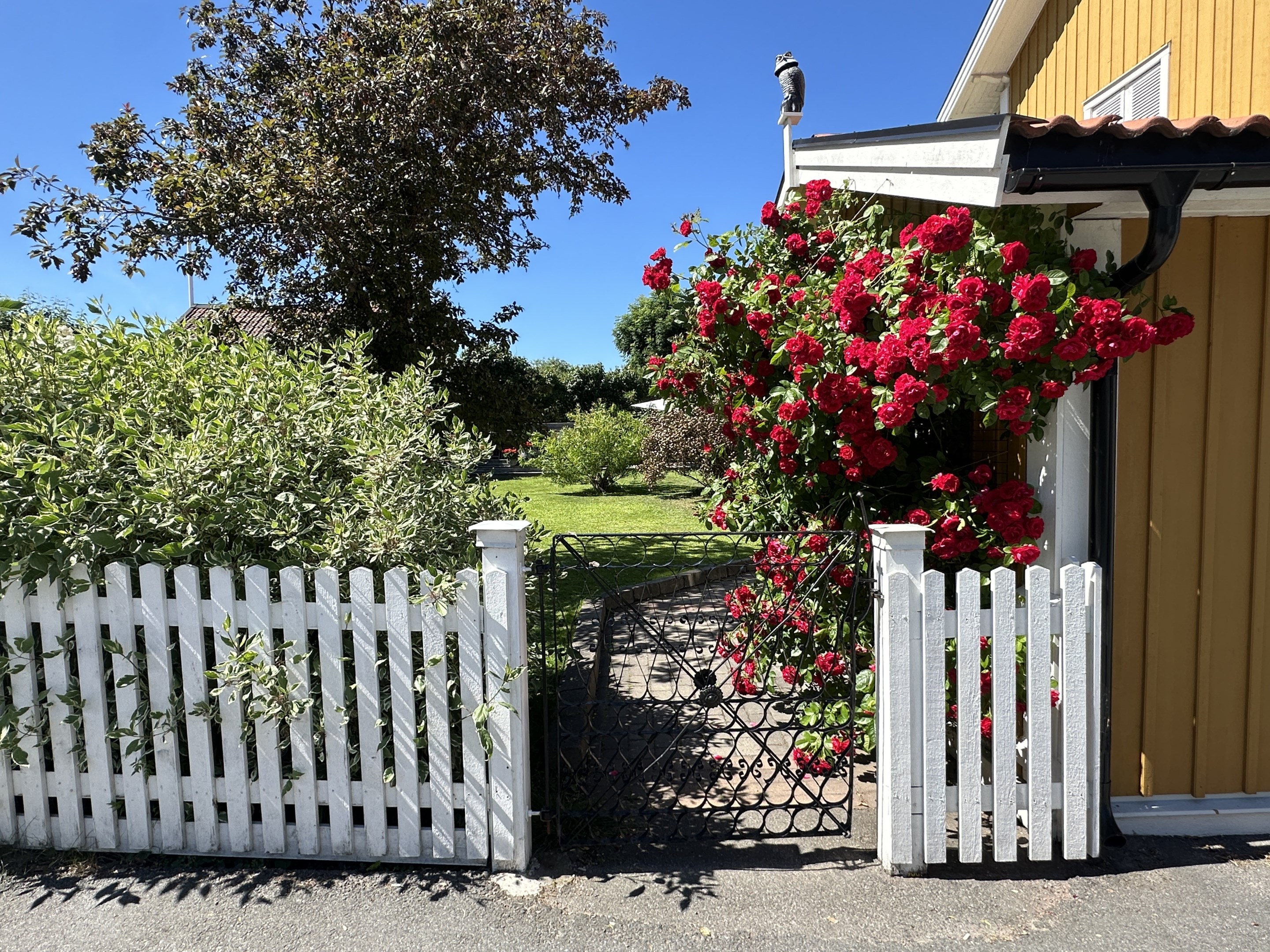Bostadsbild från Telegrafgatan 6, Kommande i Öregrund, Östhammar