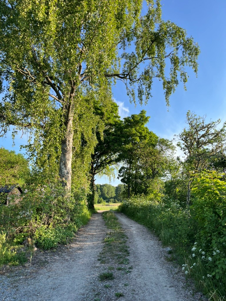 Säljarnas sommarfoton
