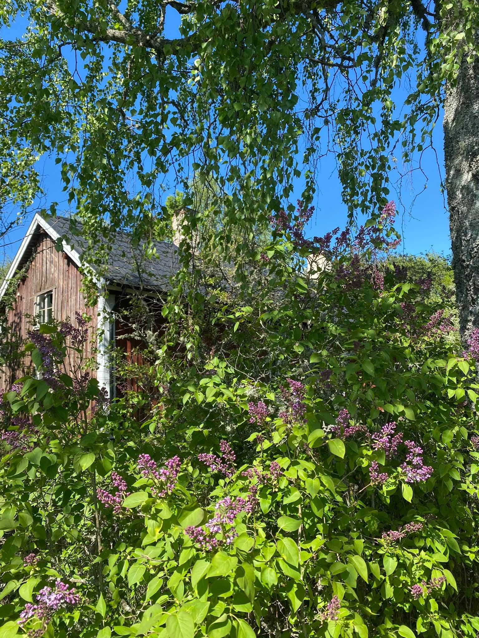 Säljarnas sommarfoton