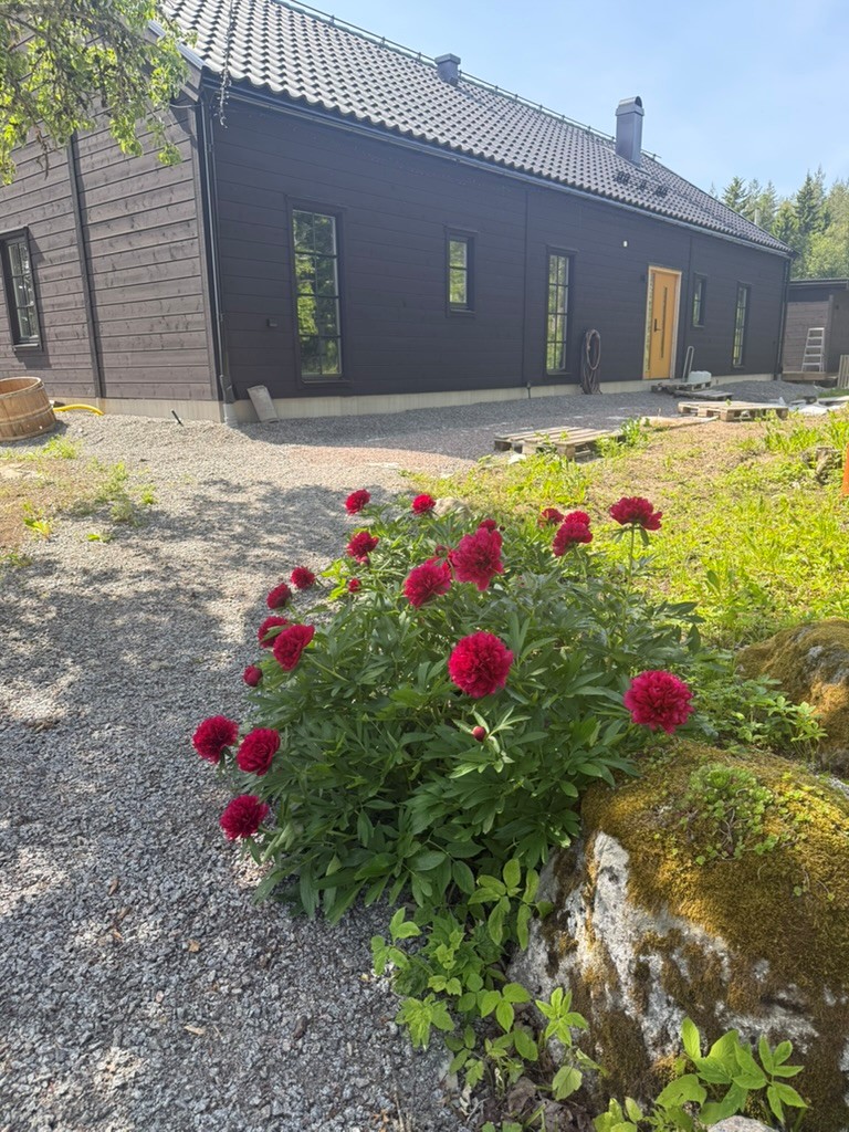 Säljarnas sommarfoton