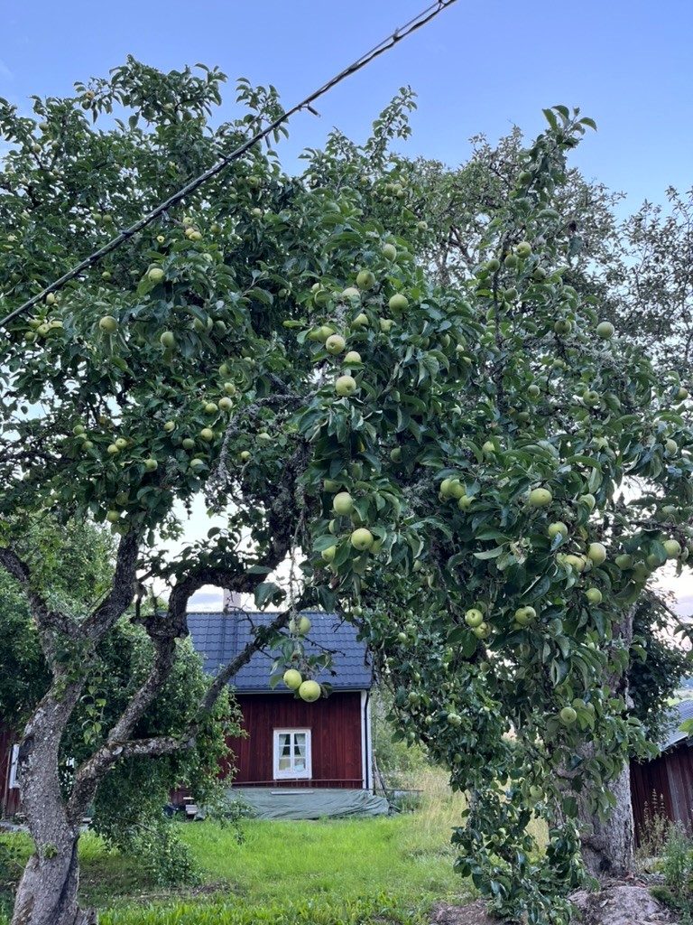 Säljarnas sommarfoton