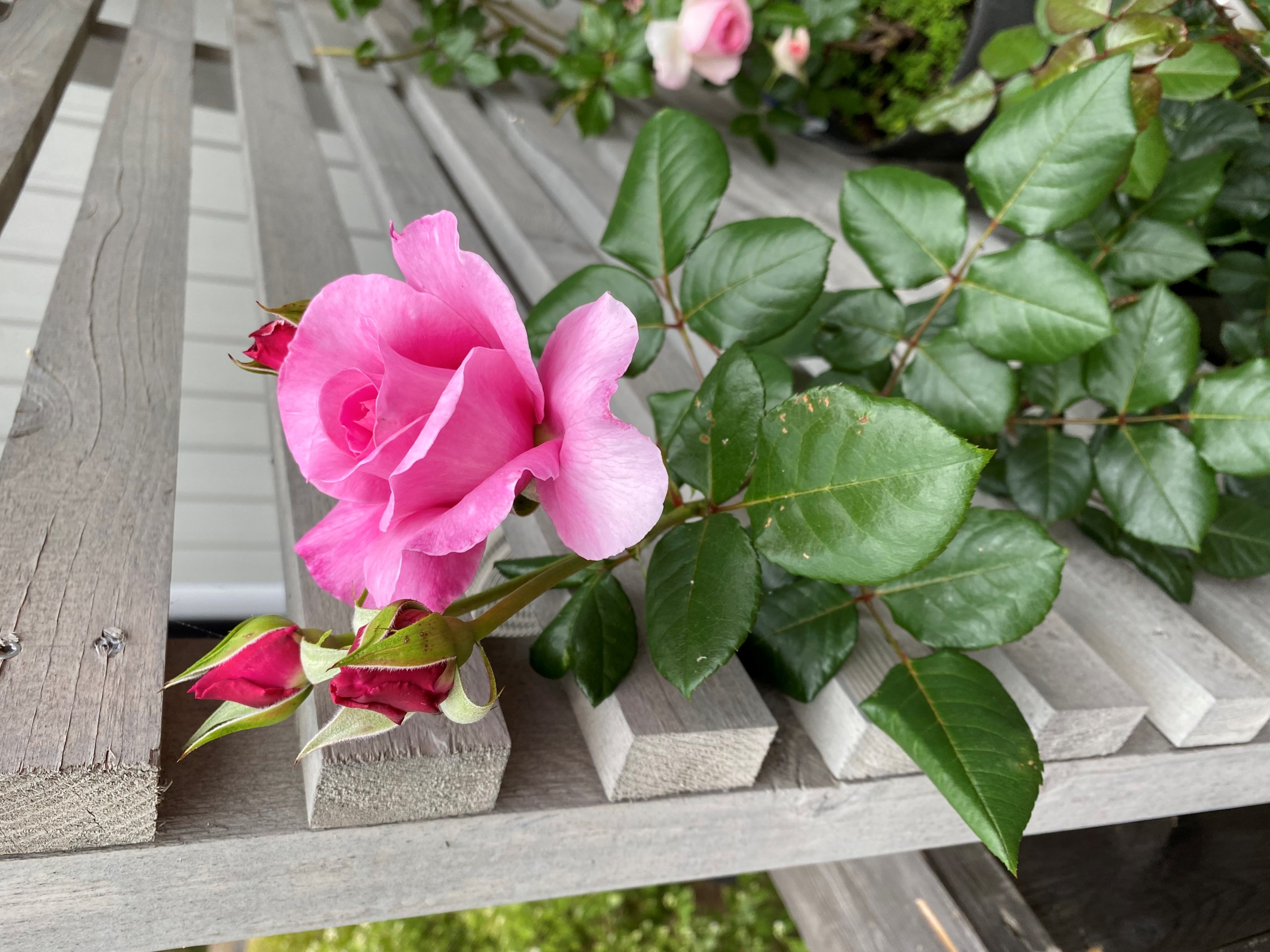 Bostadsbild från Gamla Slipvägen 5, Till salu i Öregrund, Östhammar