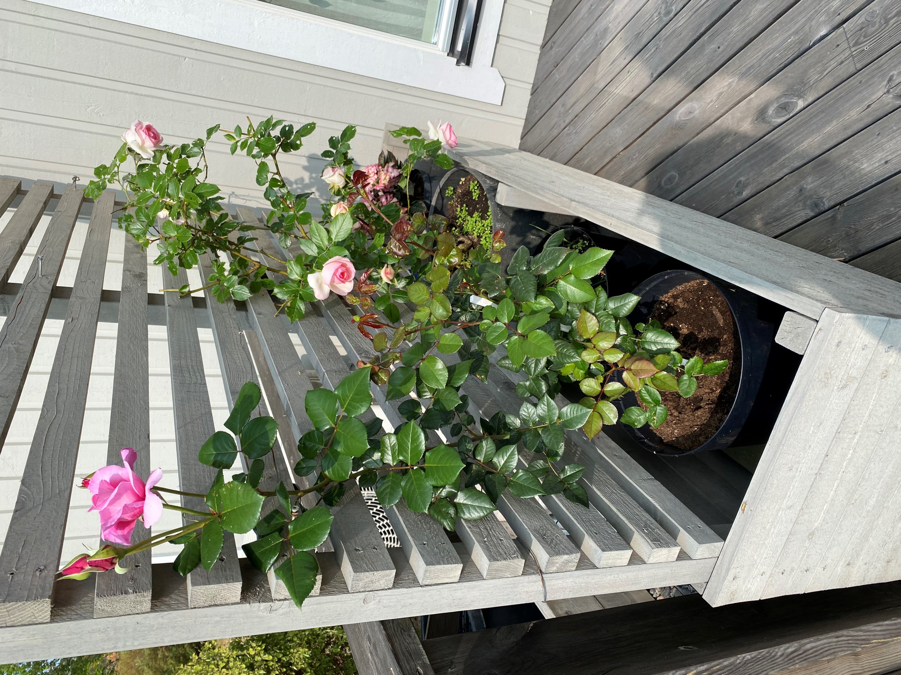 Bostadsbild från Gamla Slipvägen 5, Till salu i Öregrund, Östhammar