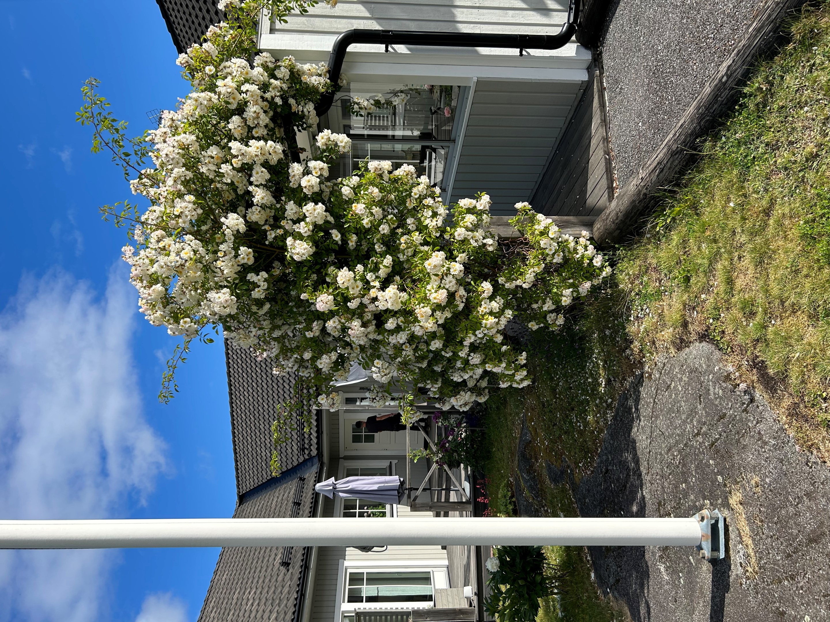 Bostadsbild från Gamla Slipvägen 5, Till salu i Öregrund, Östhammar