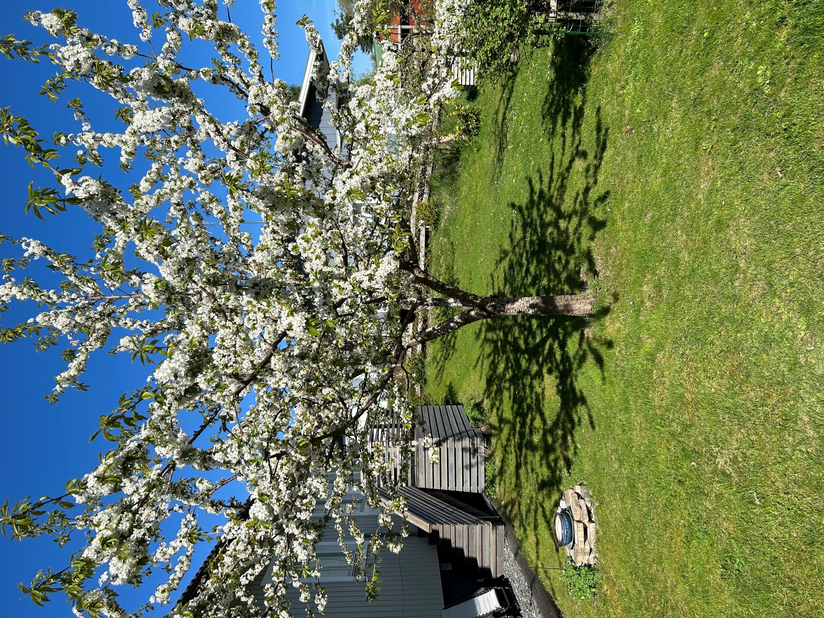 Bostadsbild från Gamla Slipvägen 5, Till salu i Öregrund, Östhammar