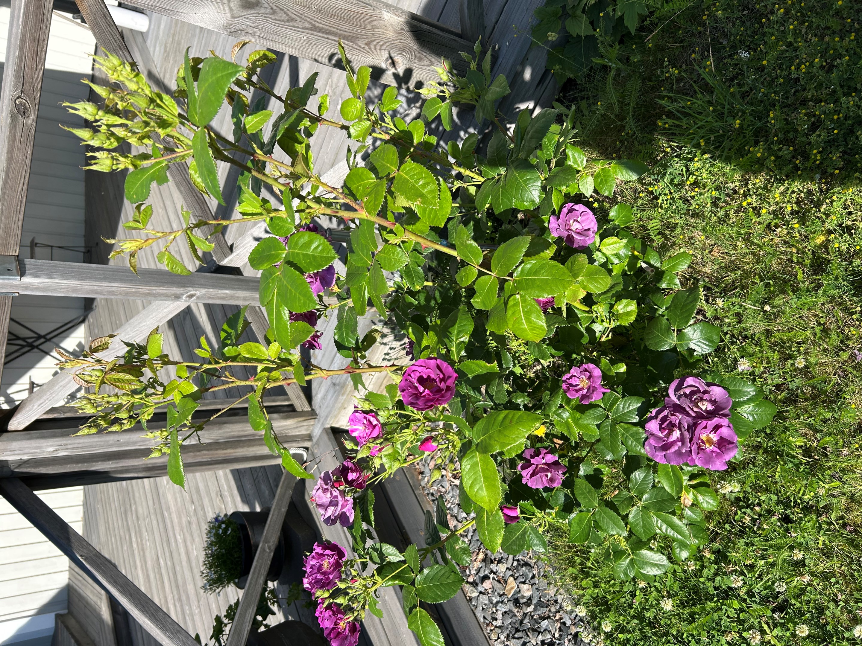 Bostadsbild från Gamla Slipvägen 5, Till salu i Öregrund, Östhammar