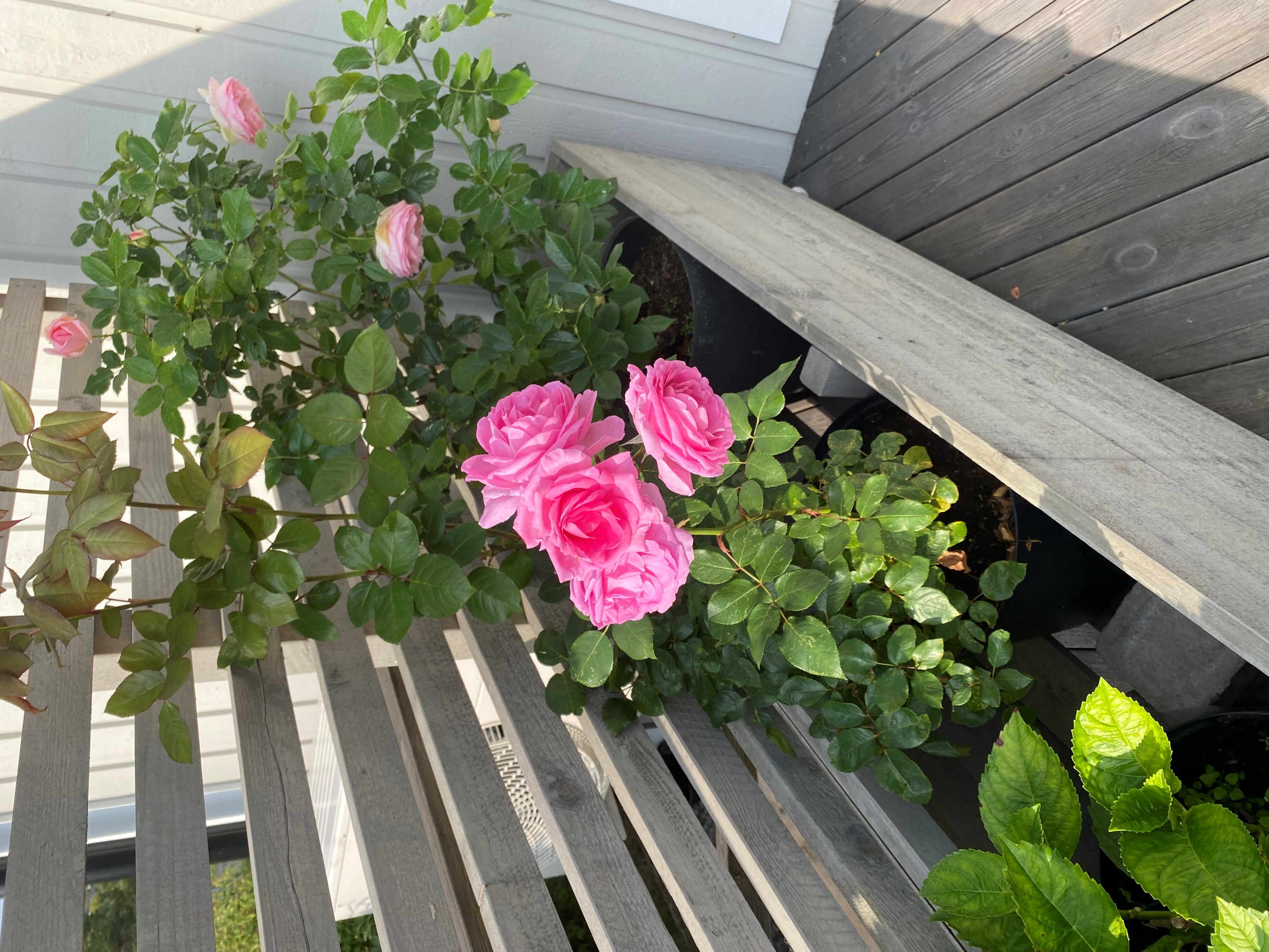 Bostadsbild från Gamla Slipvägen 5, Till salu i Öregrund, Östhammar