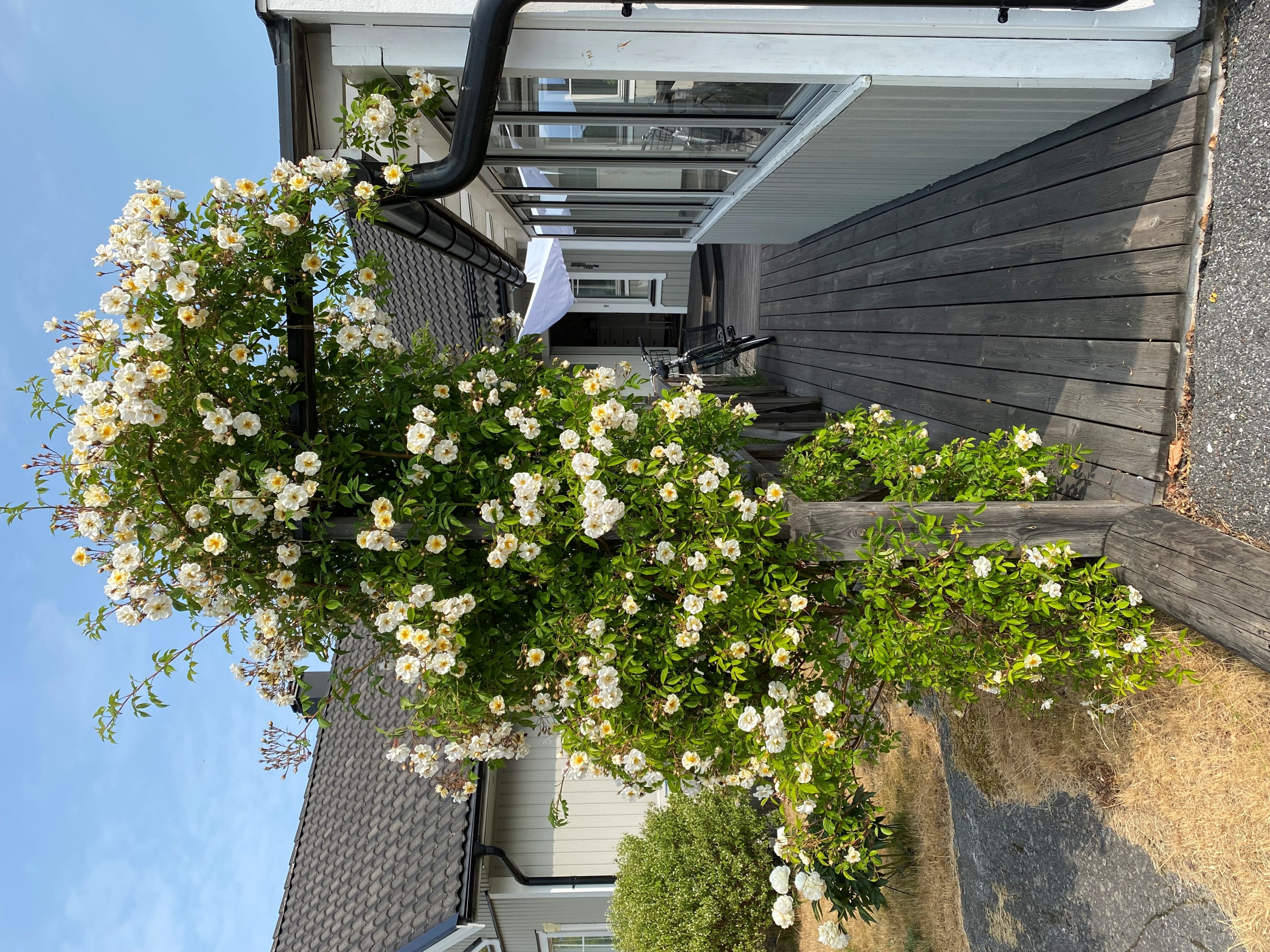 Bostadsbild från Gamla Slipvägen 5, Till salu i Öregrund, Östhammar