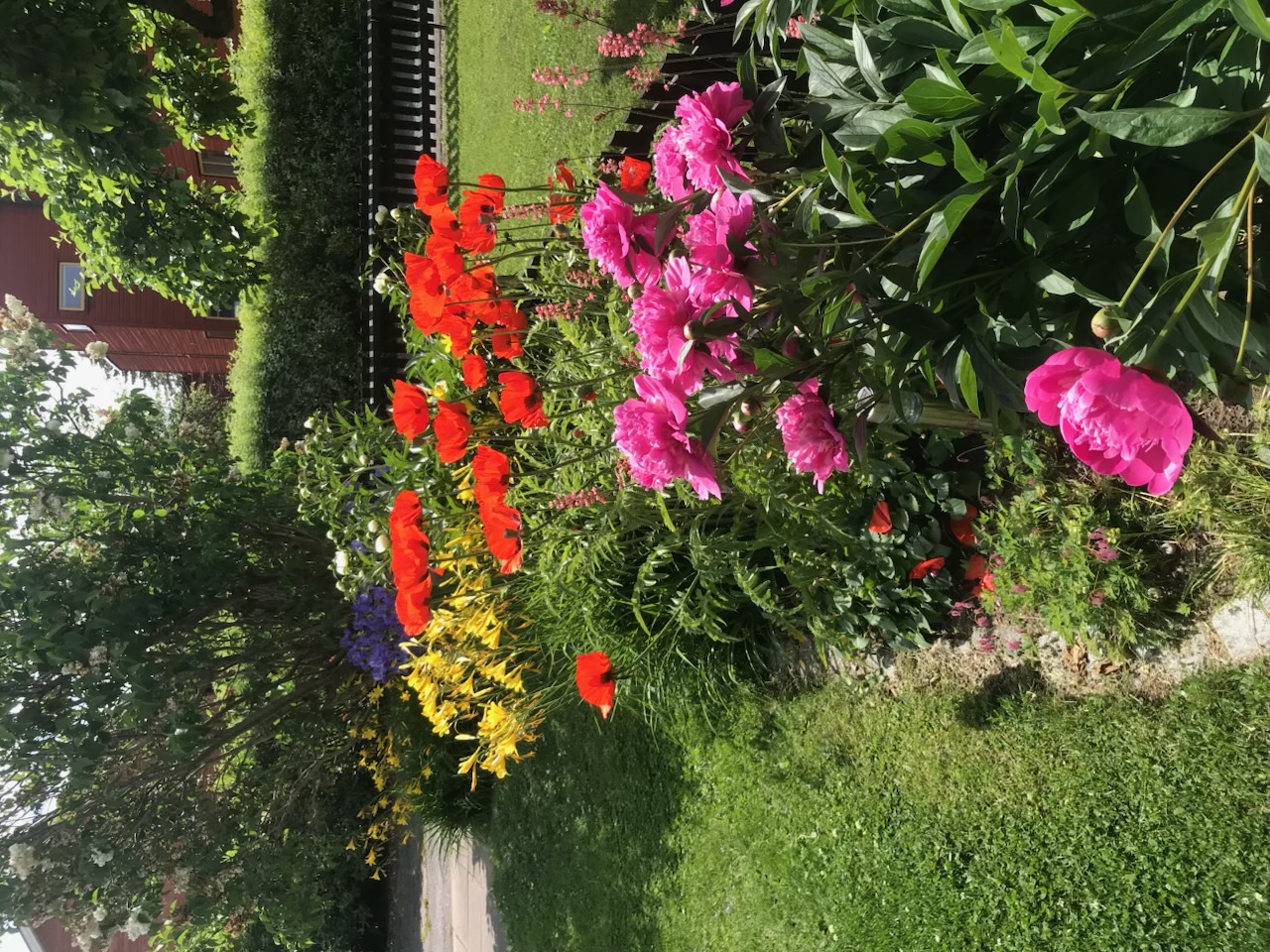 Säljarnas sommarfoto