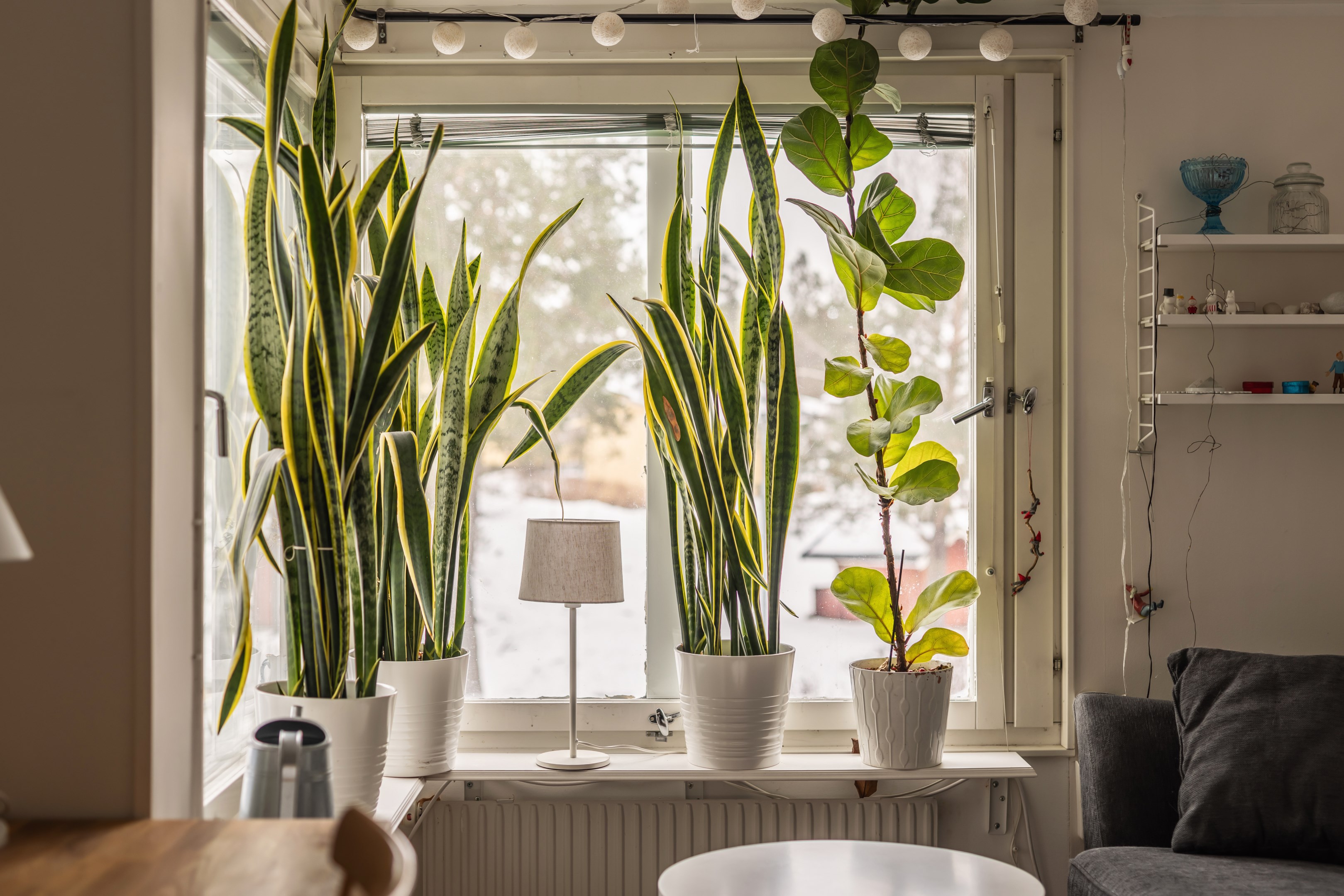 Bostadsbild från Storholmsvägen 216, Kommande i Östra Orminge, Nacka