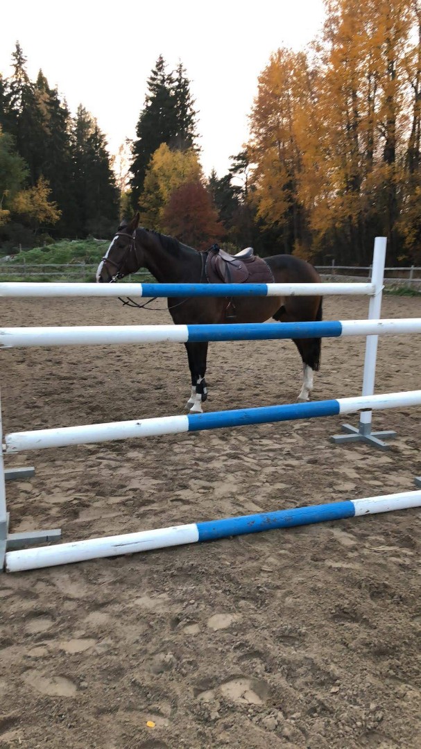 Bostadsbild från Selknä Byrsjöbacken 7, Till salu i Selknä, Uppsala