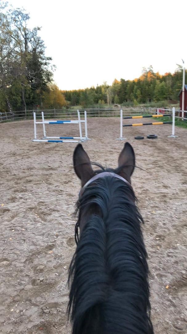 Bostadsbild från Selknä Byrsjöbacken 7, Till salu i Selknä, Uppsala