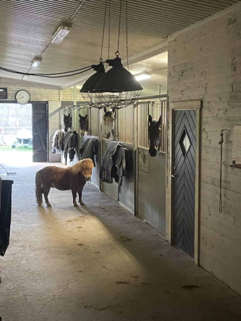 Bostadsbild från Selknä Byrsjöbacken 7, Till salu i Selknä, Uppsala