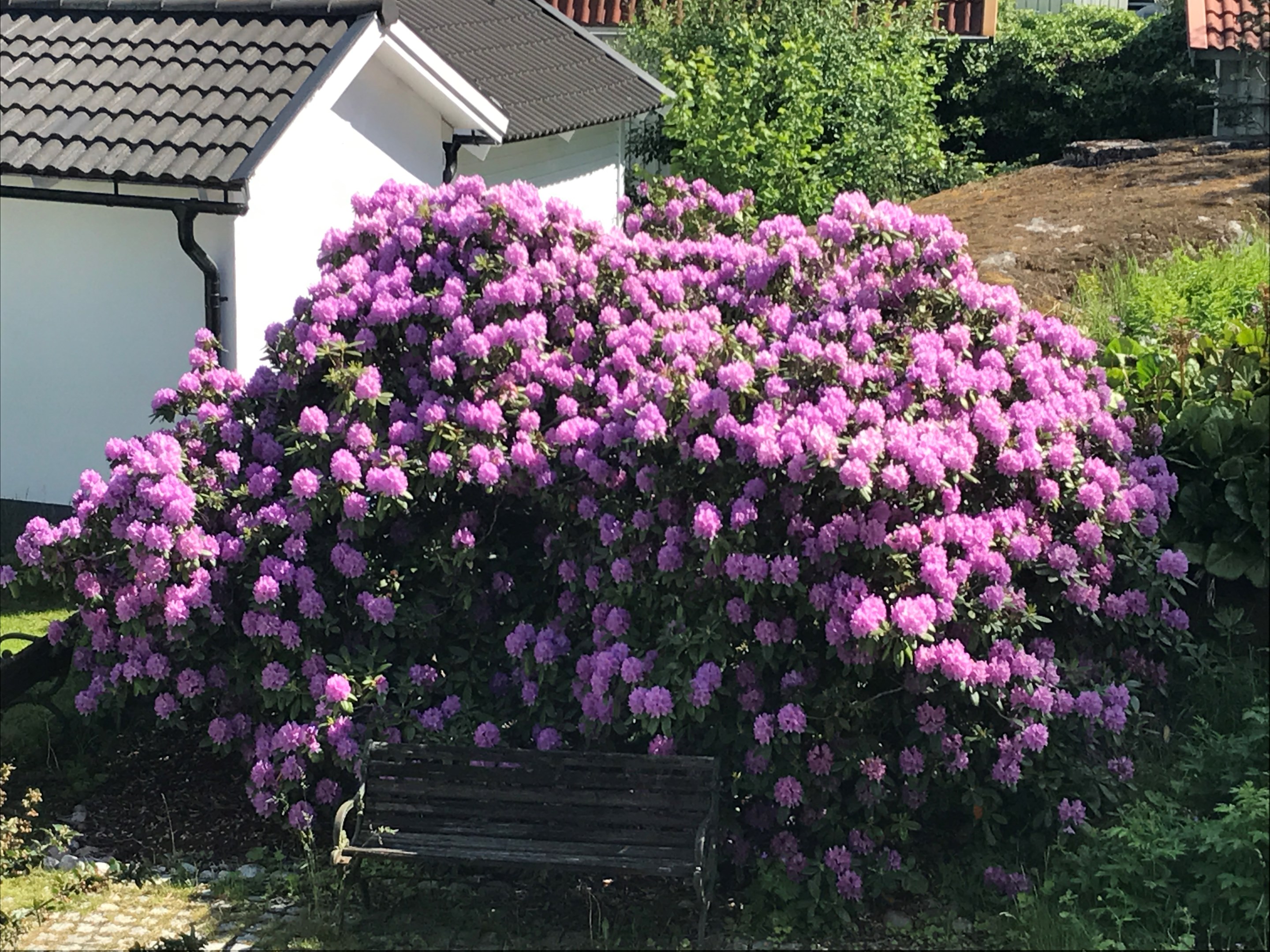 Bostadsbild från Älgvägen 22, Till salu i Saltsjö-Duvnäs, Nacka