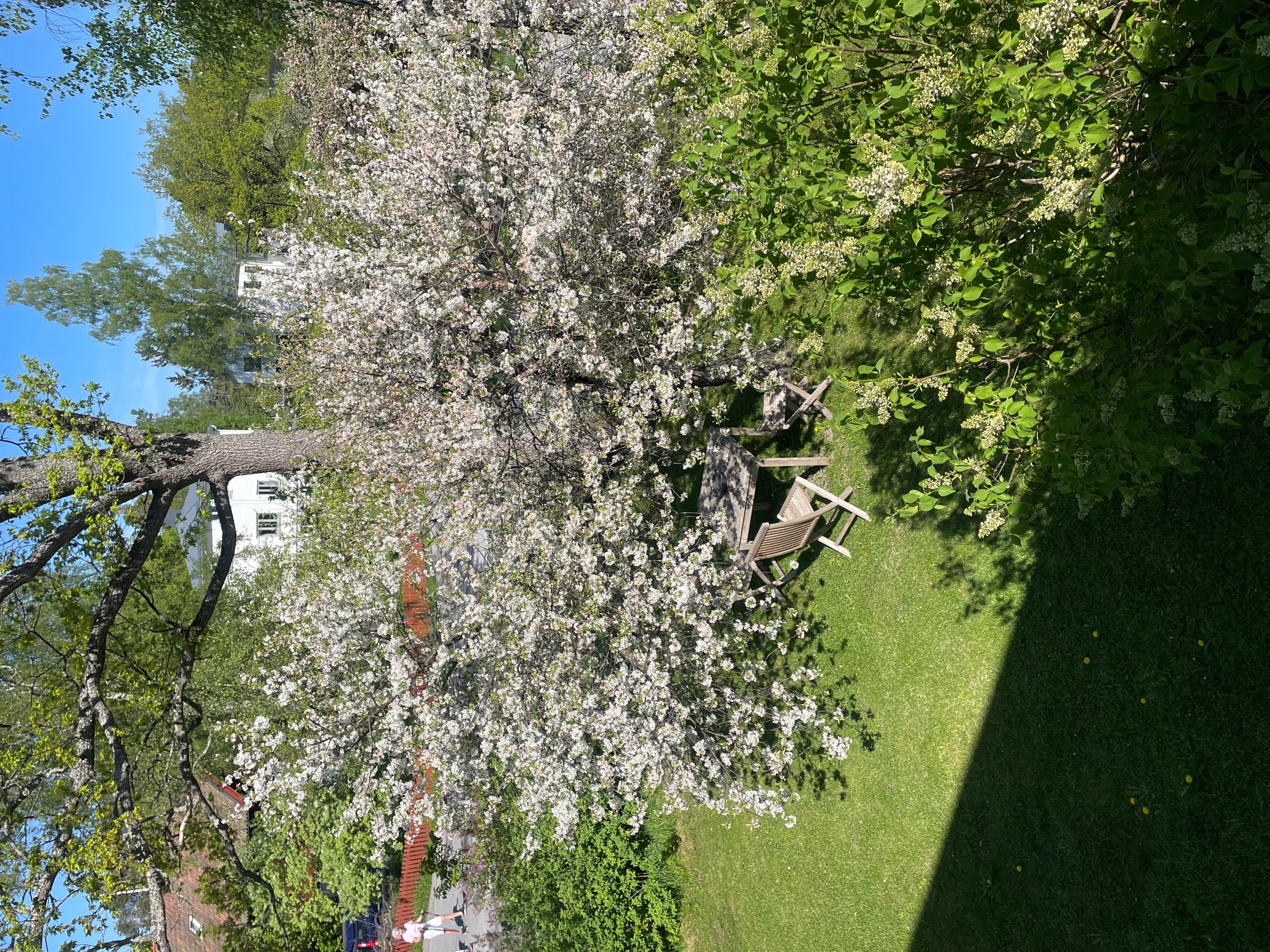 Bostadsbild från Älgvägen 22, Till salu i Saltsjö-Duvnäs, Nacka