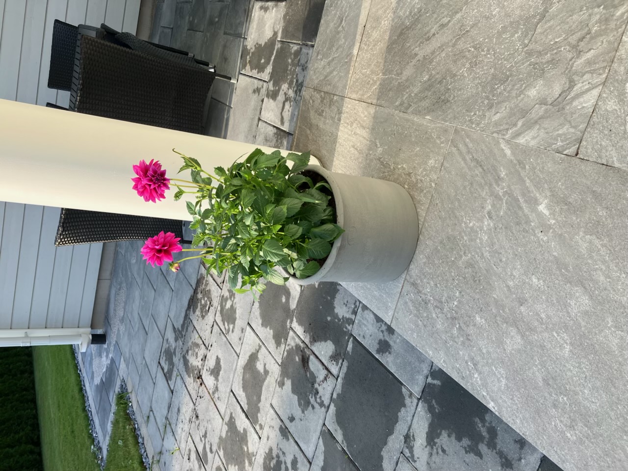 Säljarnas egna foto