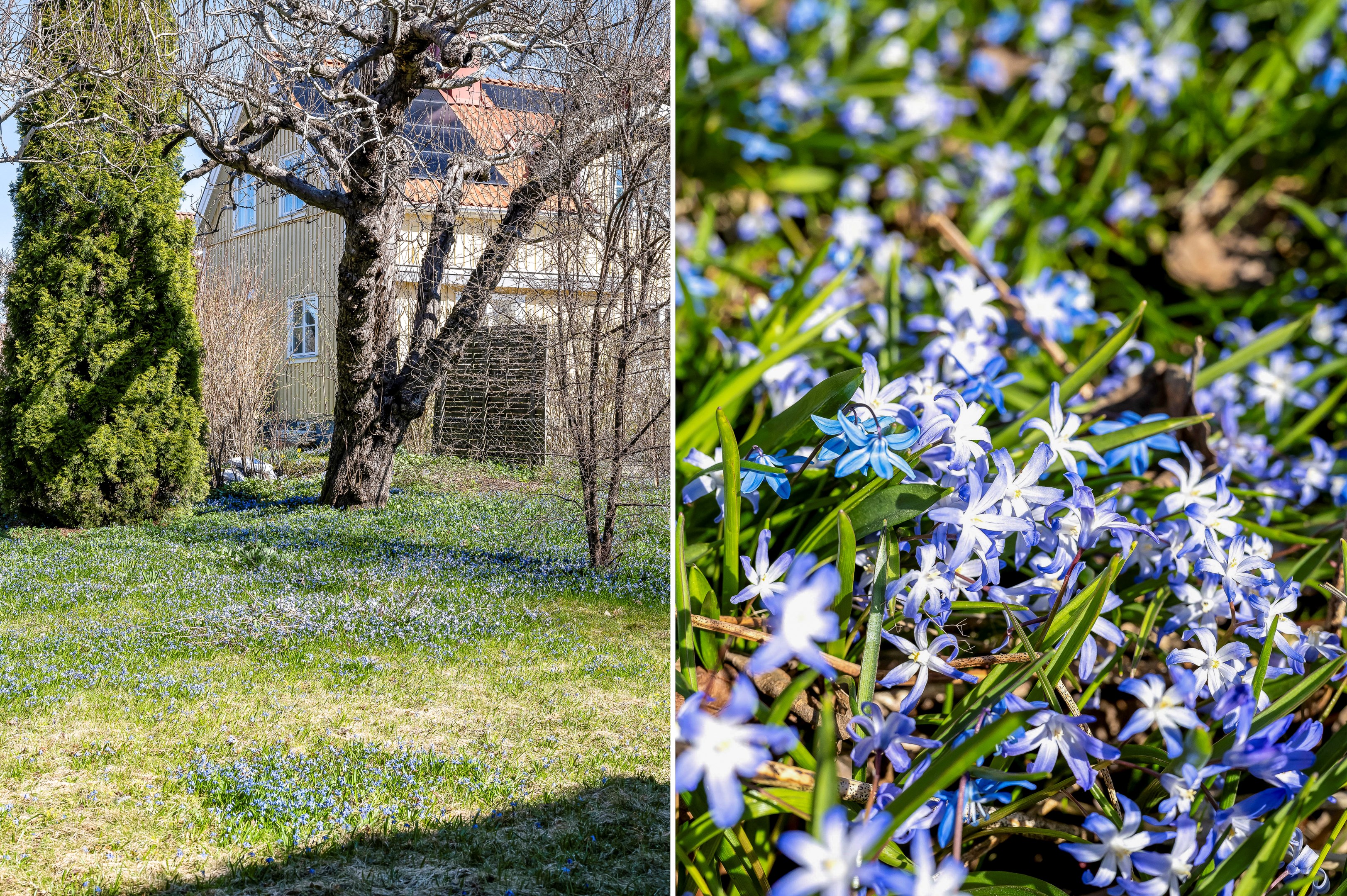 Bostadsbild från Kungsgärdesplan 4, Till salu i Kungsgärdet, Uppsala