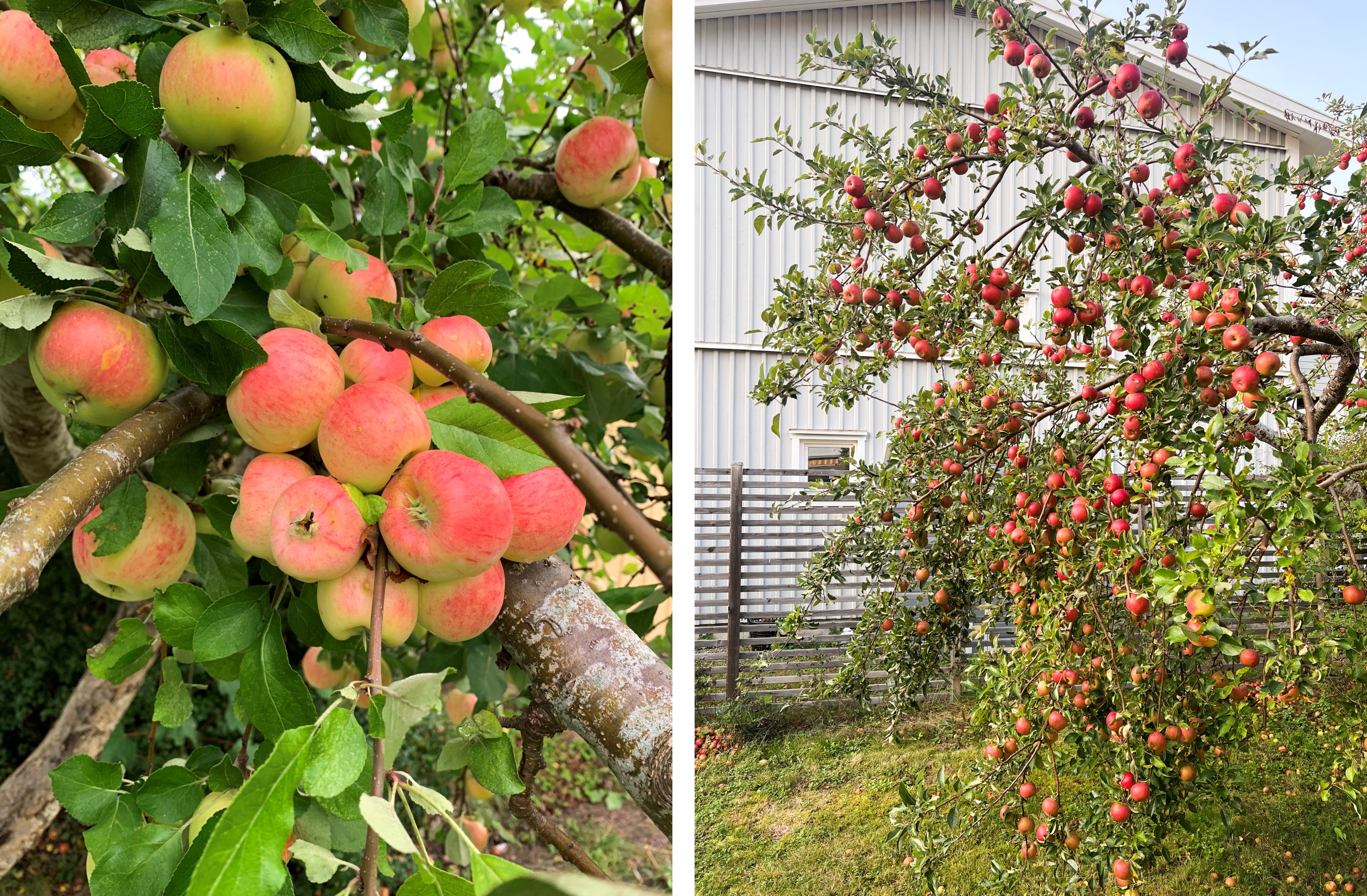 Bostadsbild från Högåsvägen 233, Såld i Knivsta - Centralt, Knivsta