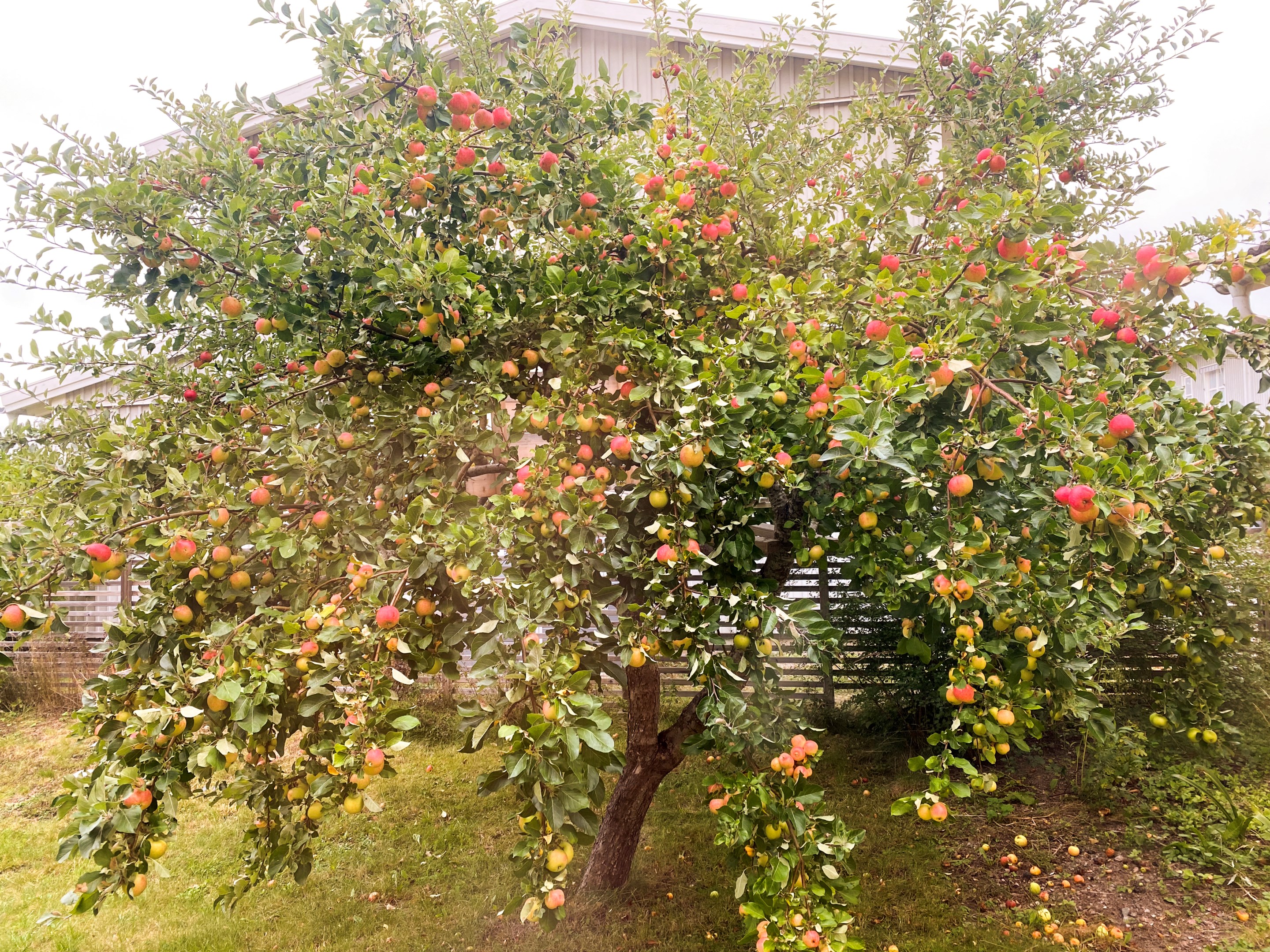 Bostadsbild från Högåsvägen 233, Såld i Knivsta - Centralt, Knivsta