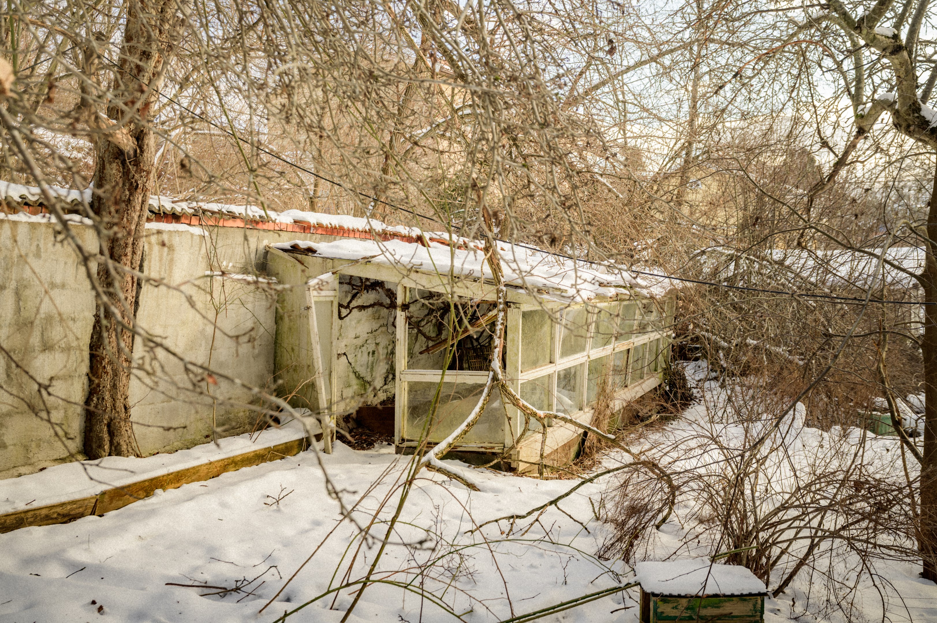 Växthus med totalt rivningsbehov