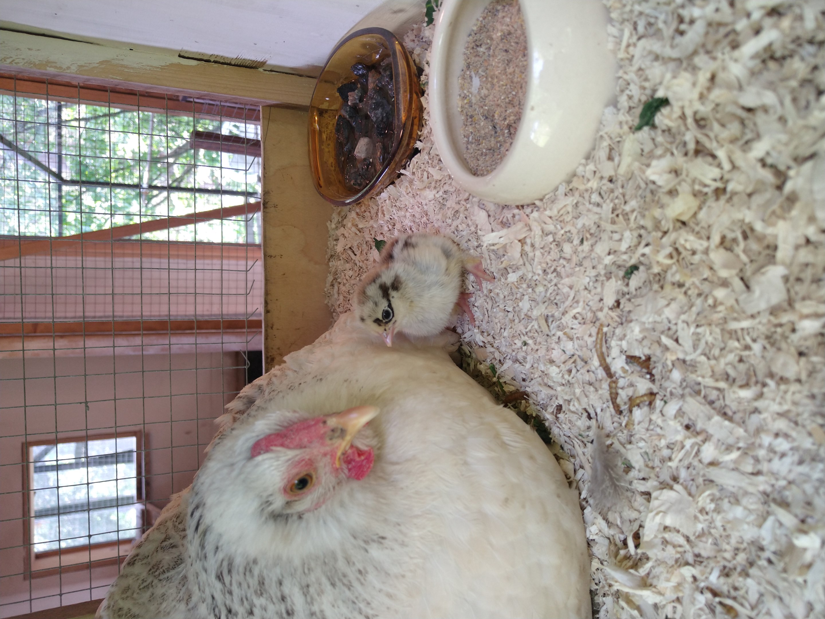 Bostadsbild från Tranarövägen 89, Kommande i Ingarö - Tranarö, Värmdö