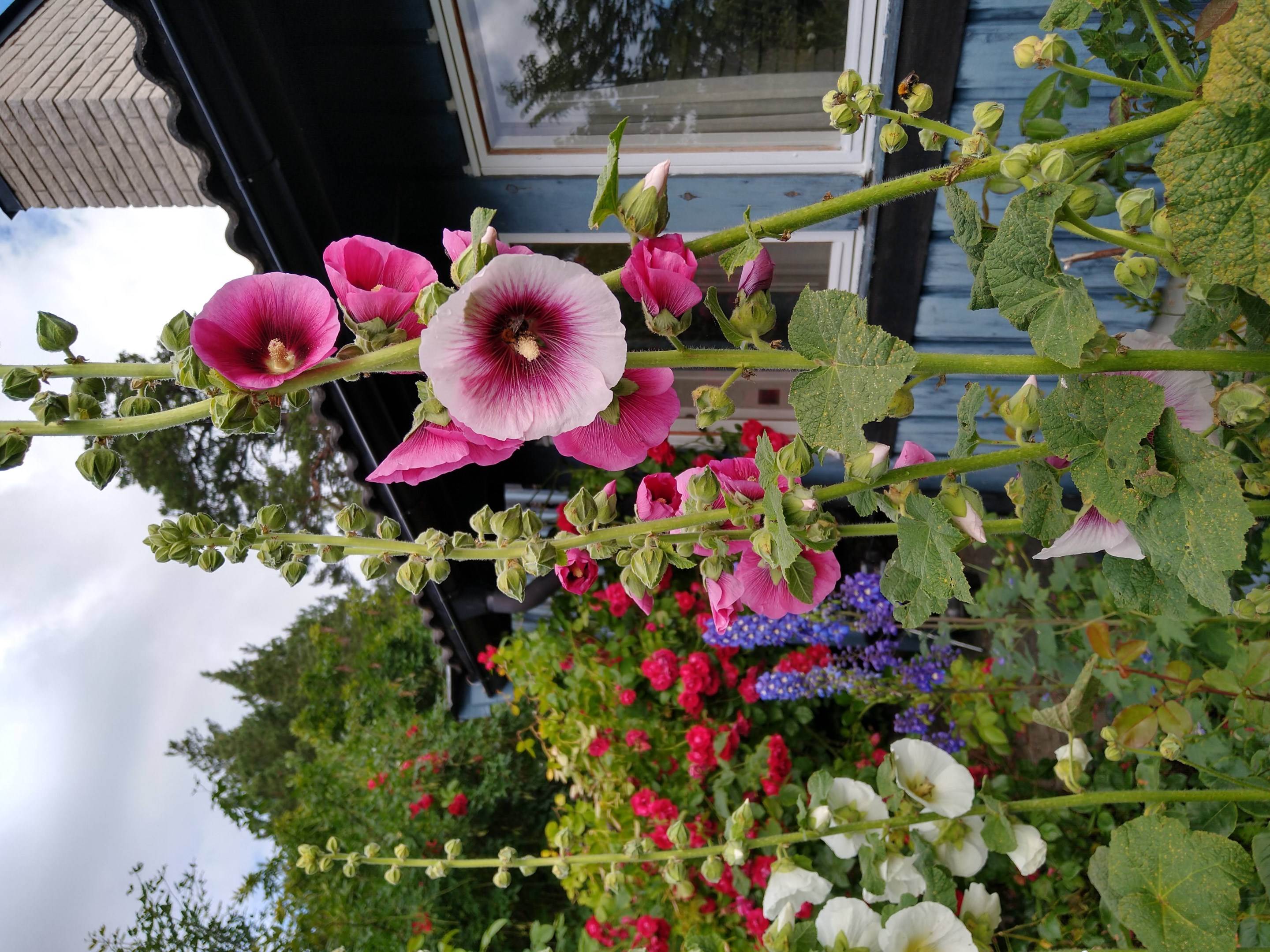 Bostadsbild från Tranarövägen 89, Kommande i Ingarö - Tranarö, Värmdö